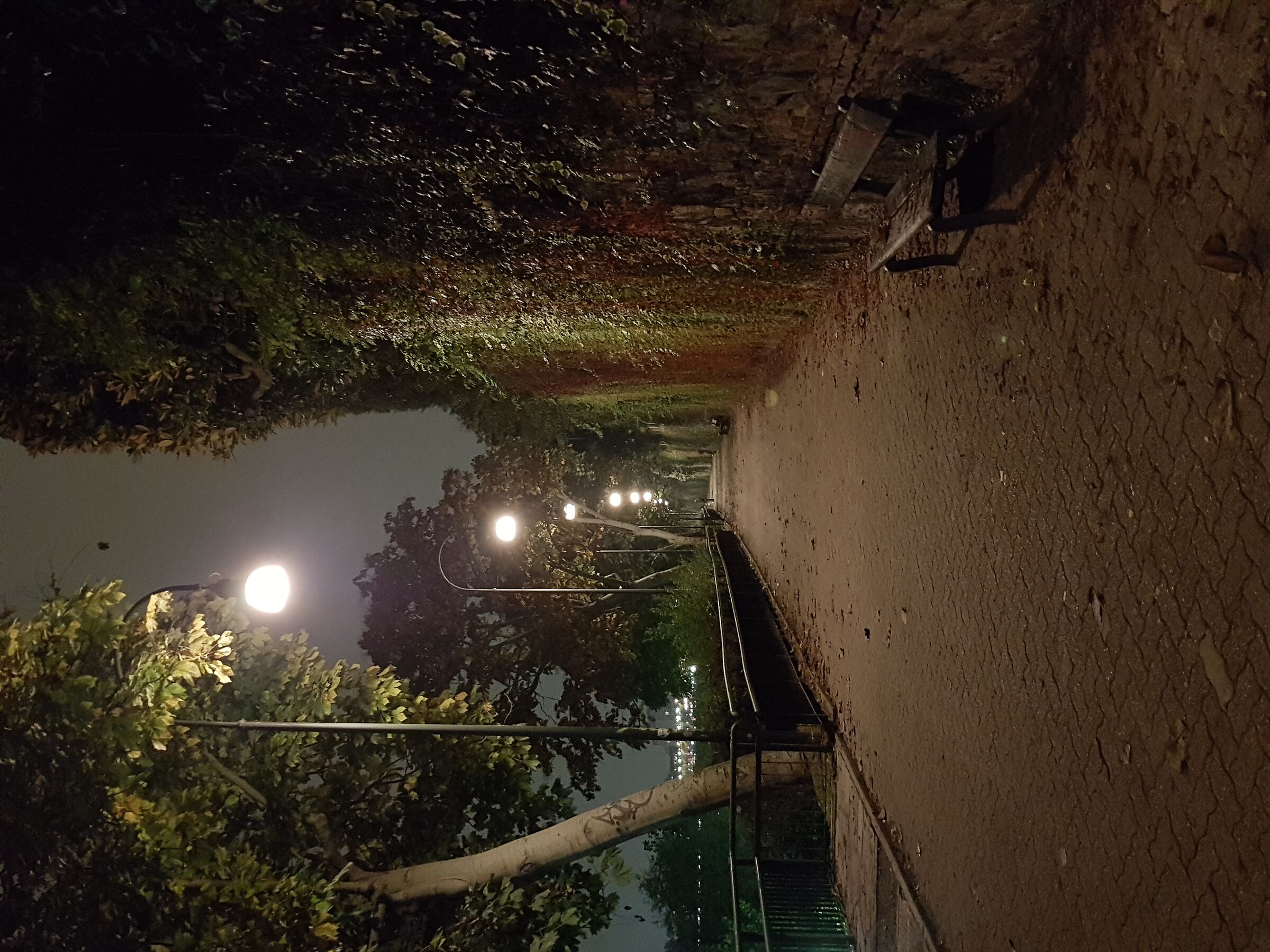Turin by night