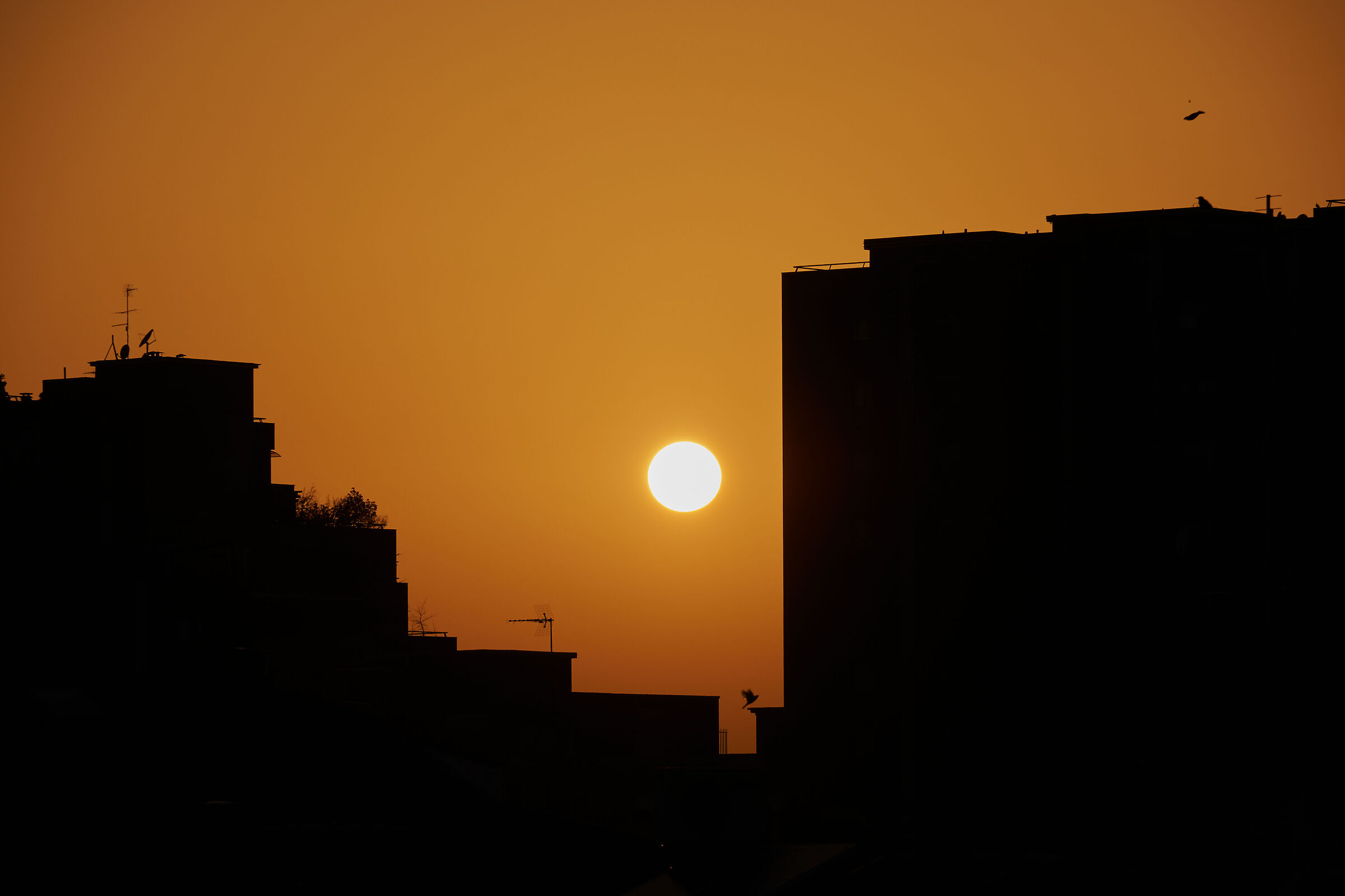 Paesaggio urbano al tramonto