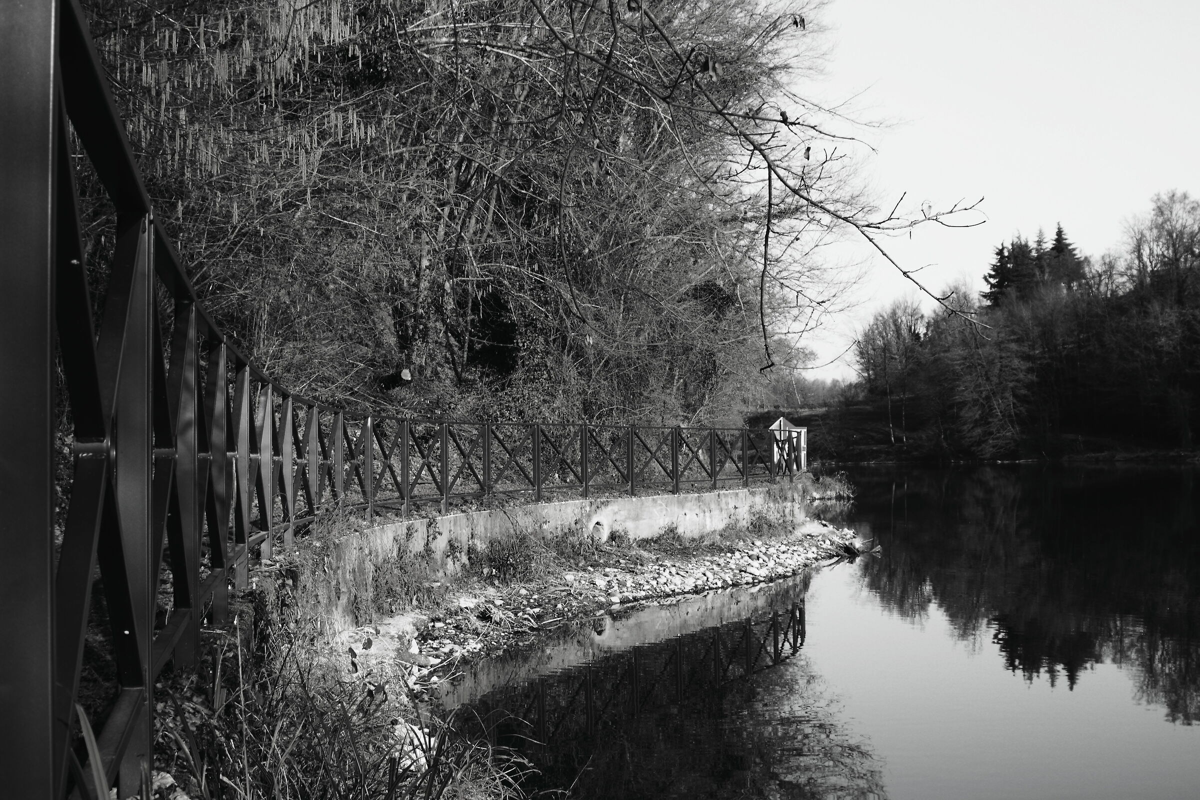 adda b&w
