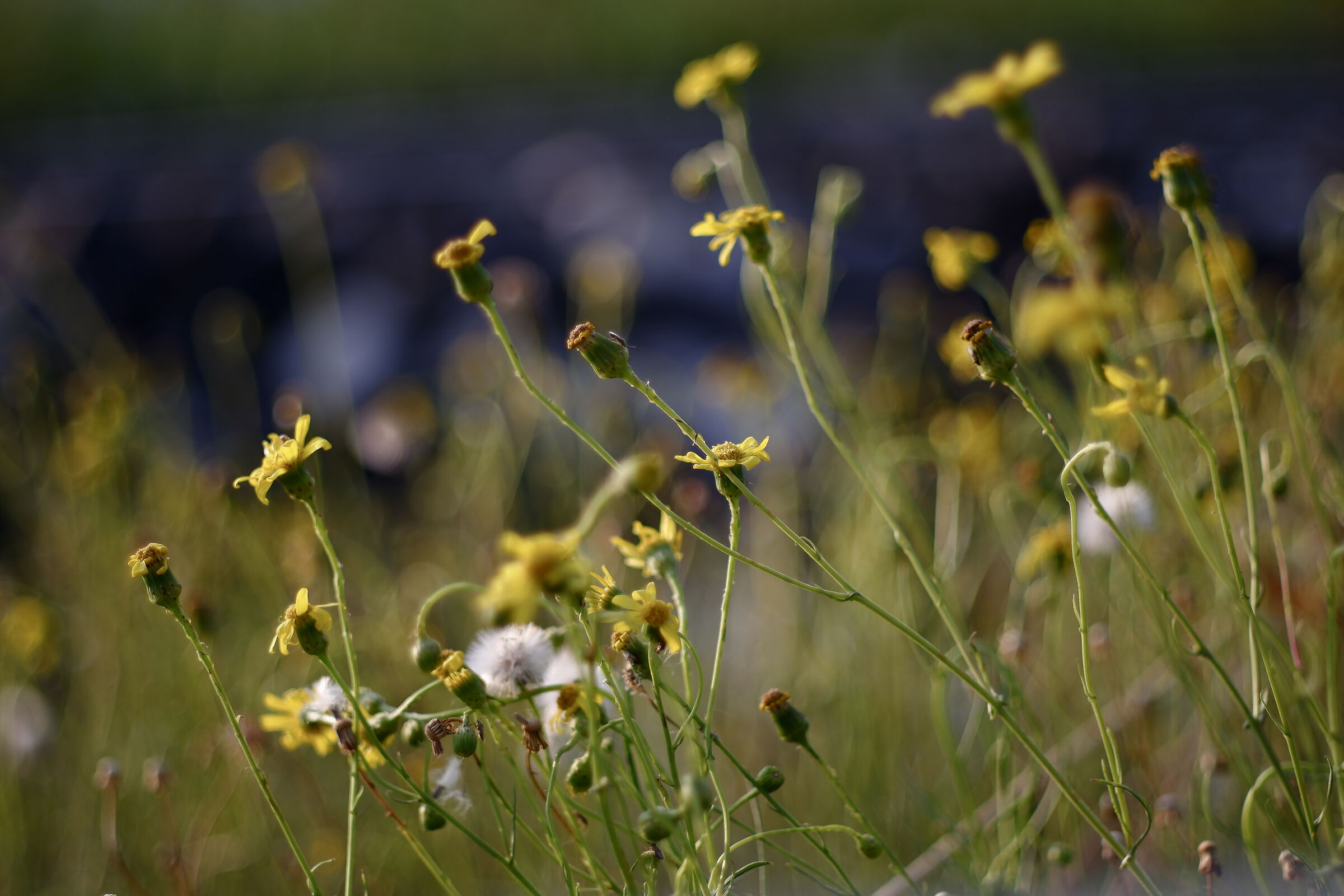 Dove finisci tu, dove inizio io