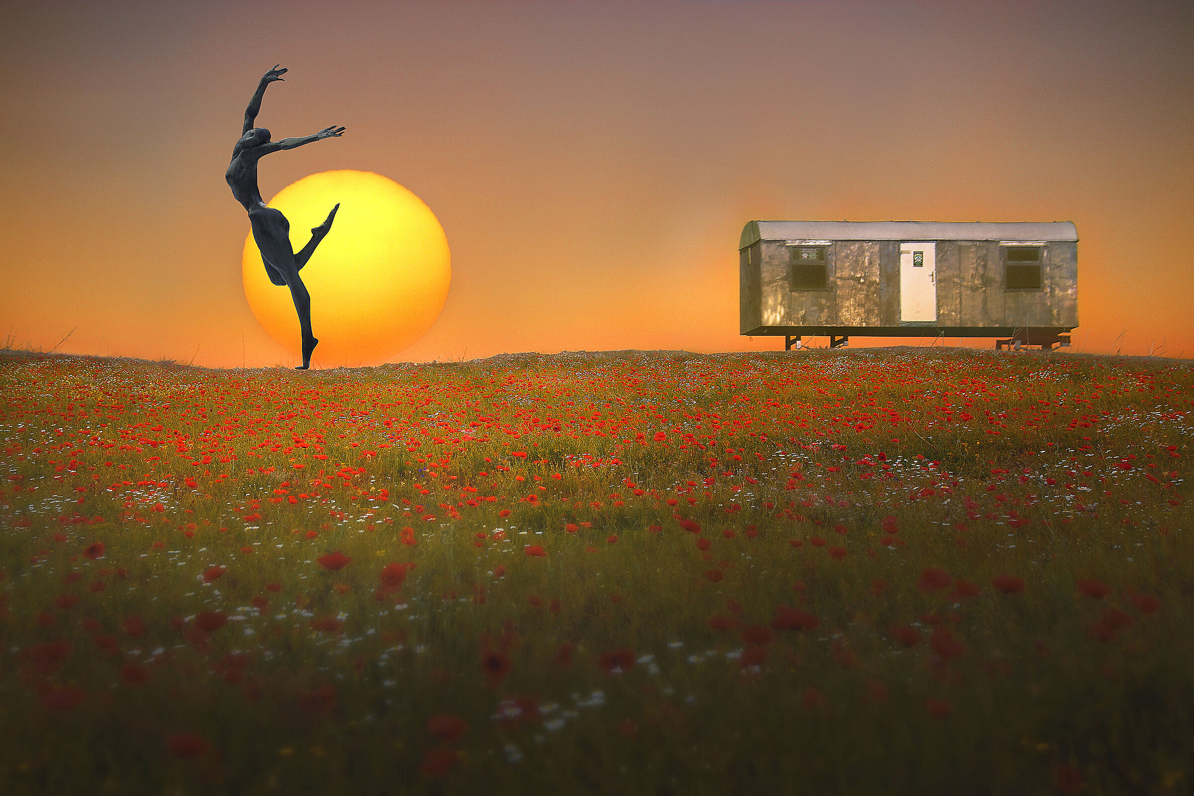 ~~ ti vorrei rivivere ~~