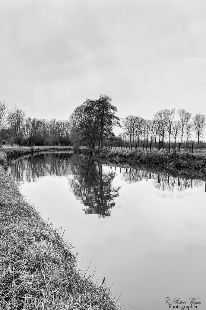 Fotografia in bianco e nero del Dender a Idegem
