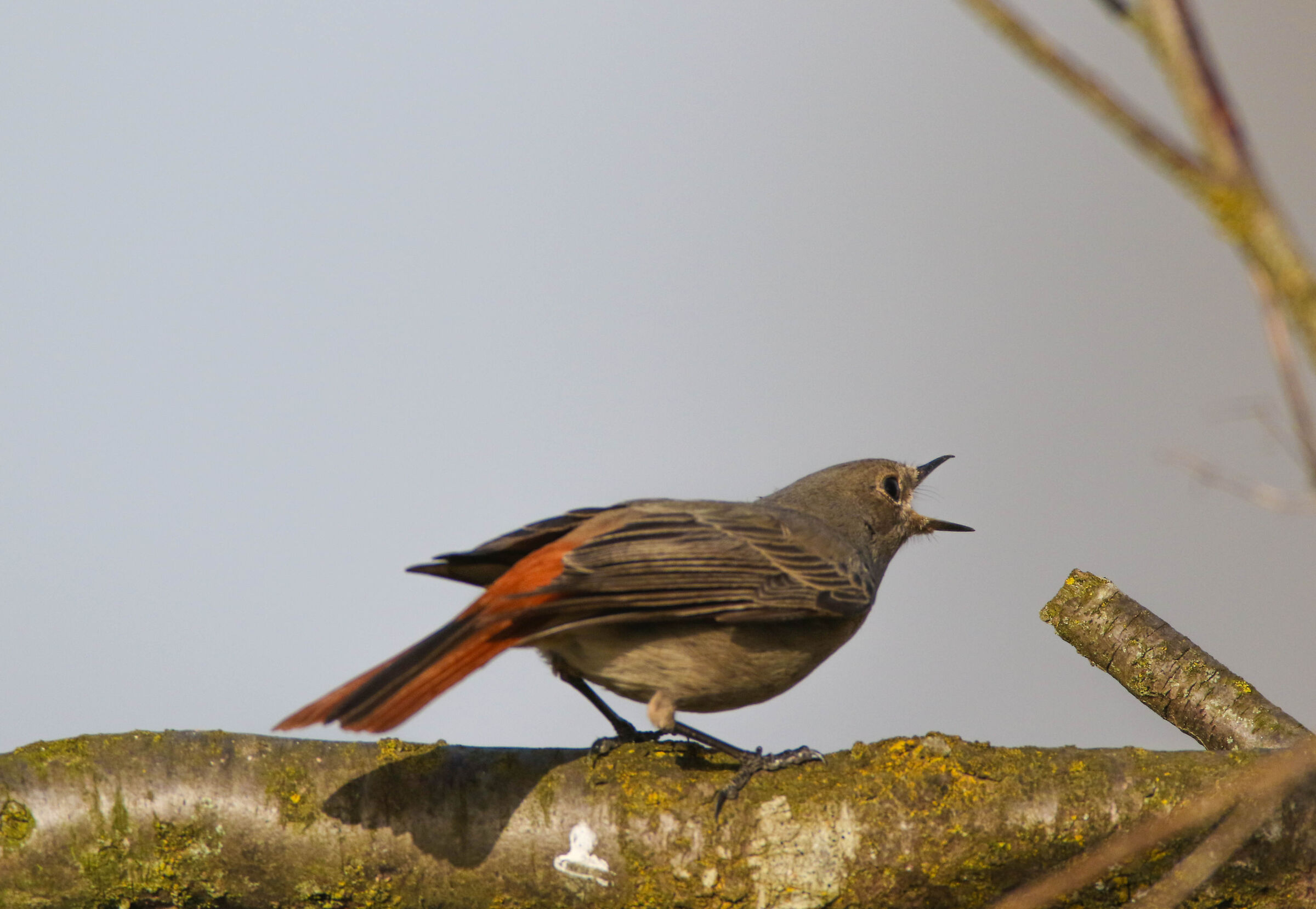 Vusa less and drink less