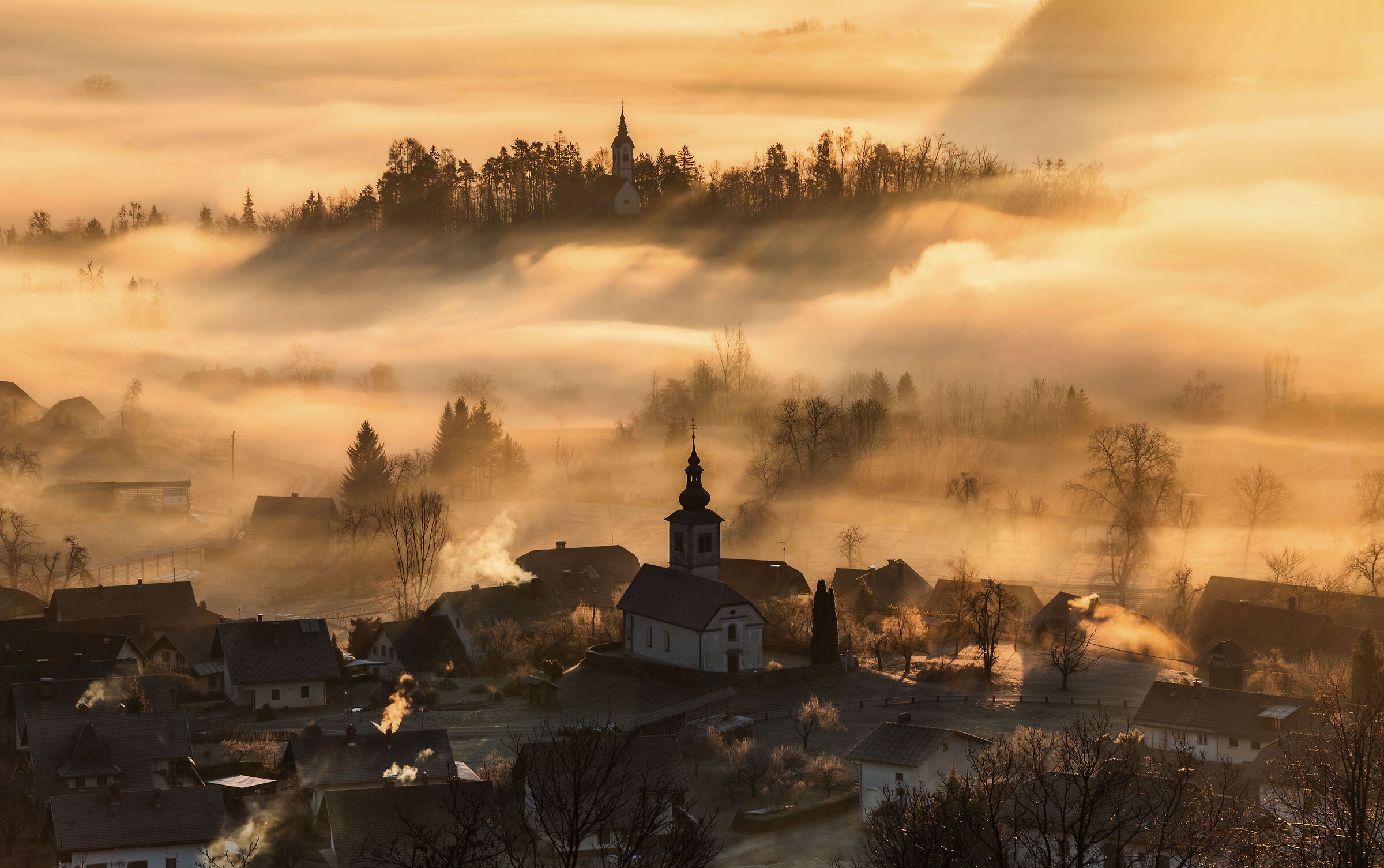 Morning in the countryside