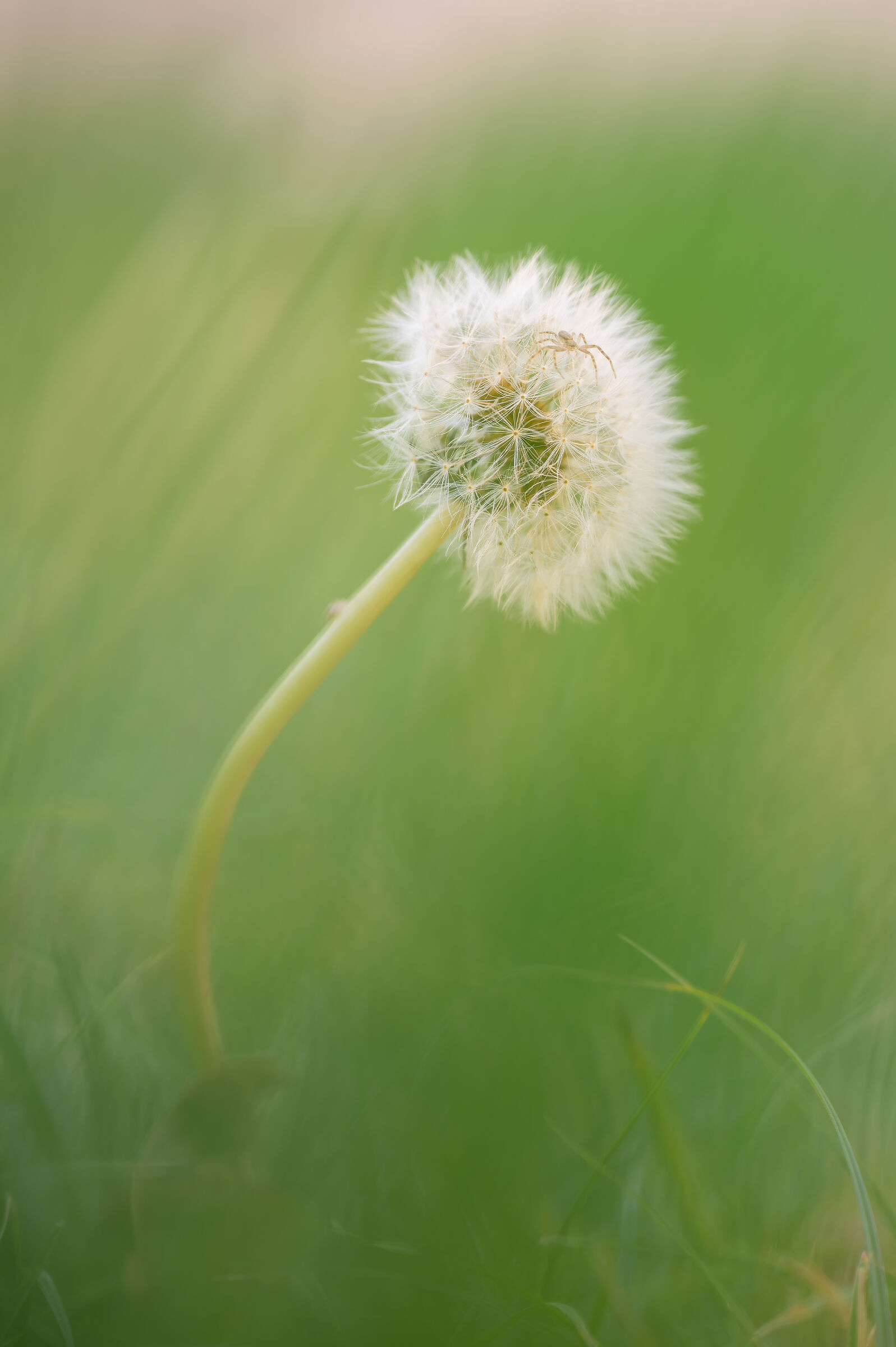 The first of the 21st