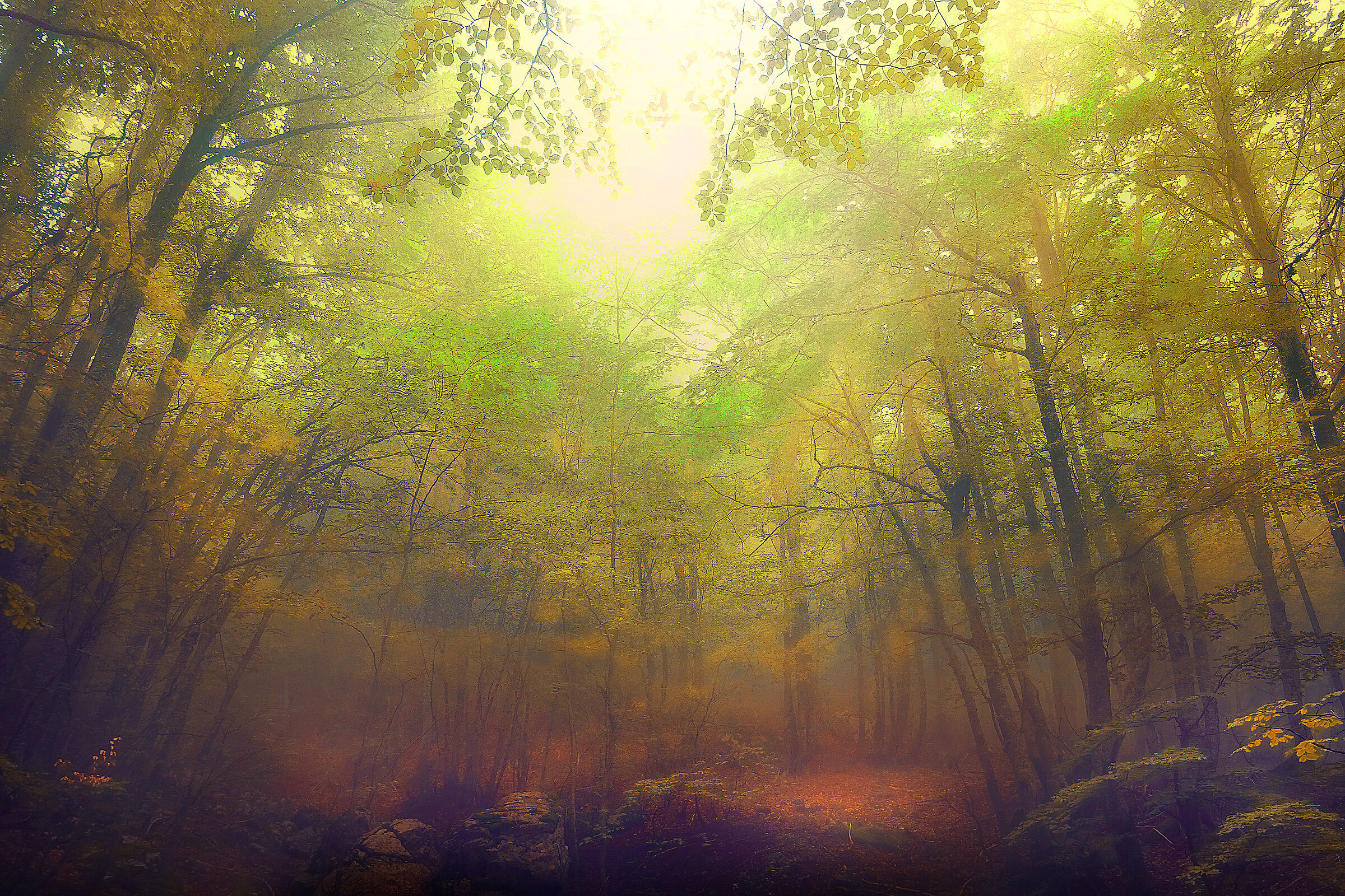 ~~ Artemis Palace ~~