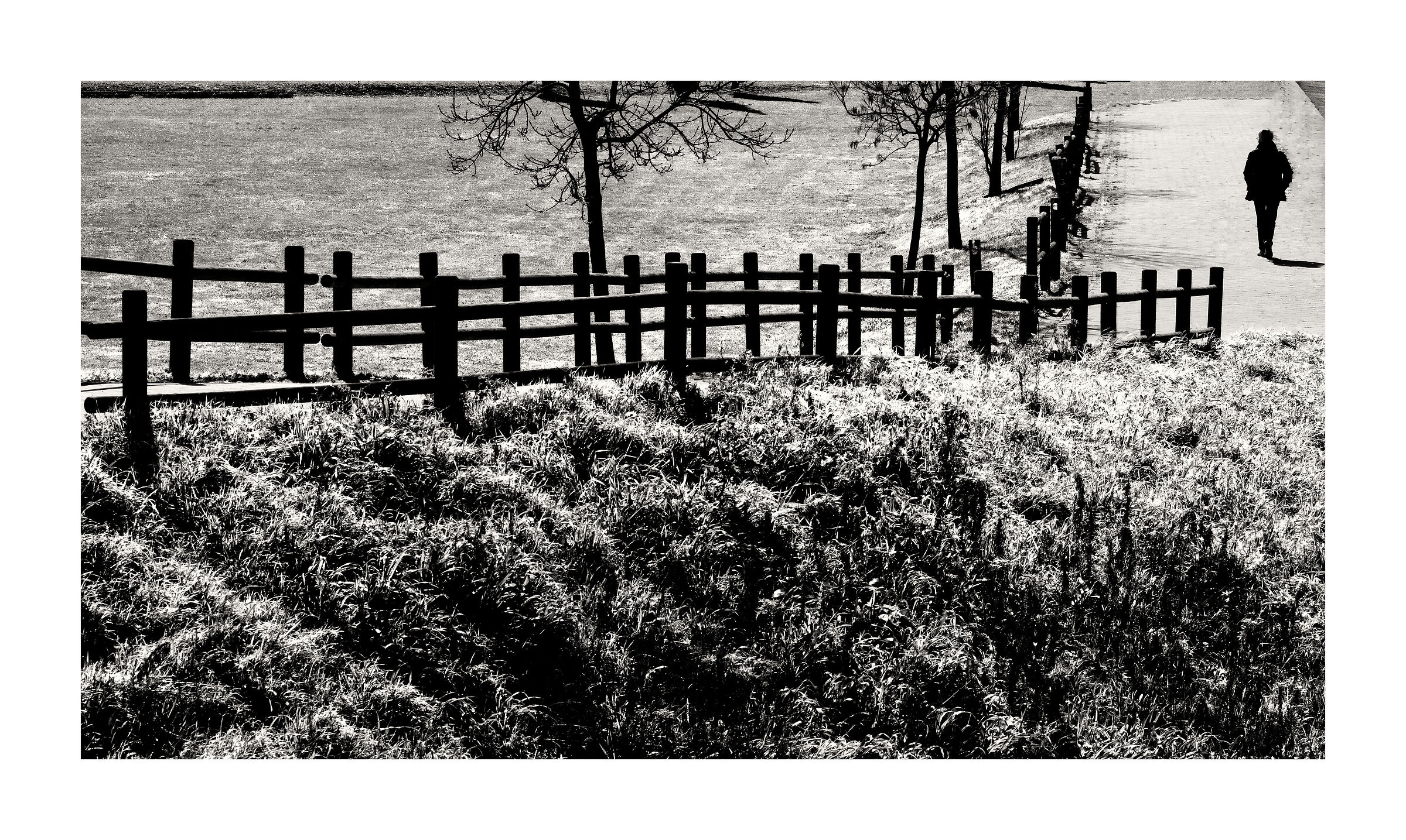 La strada è ancora lunga