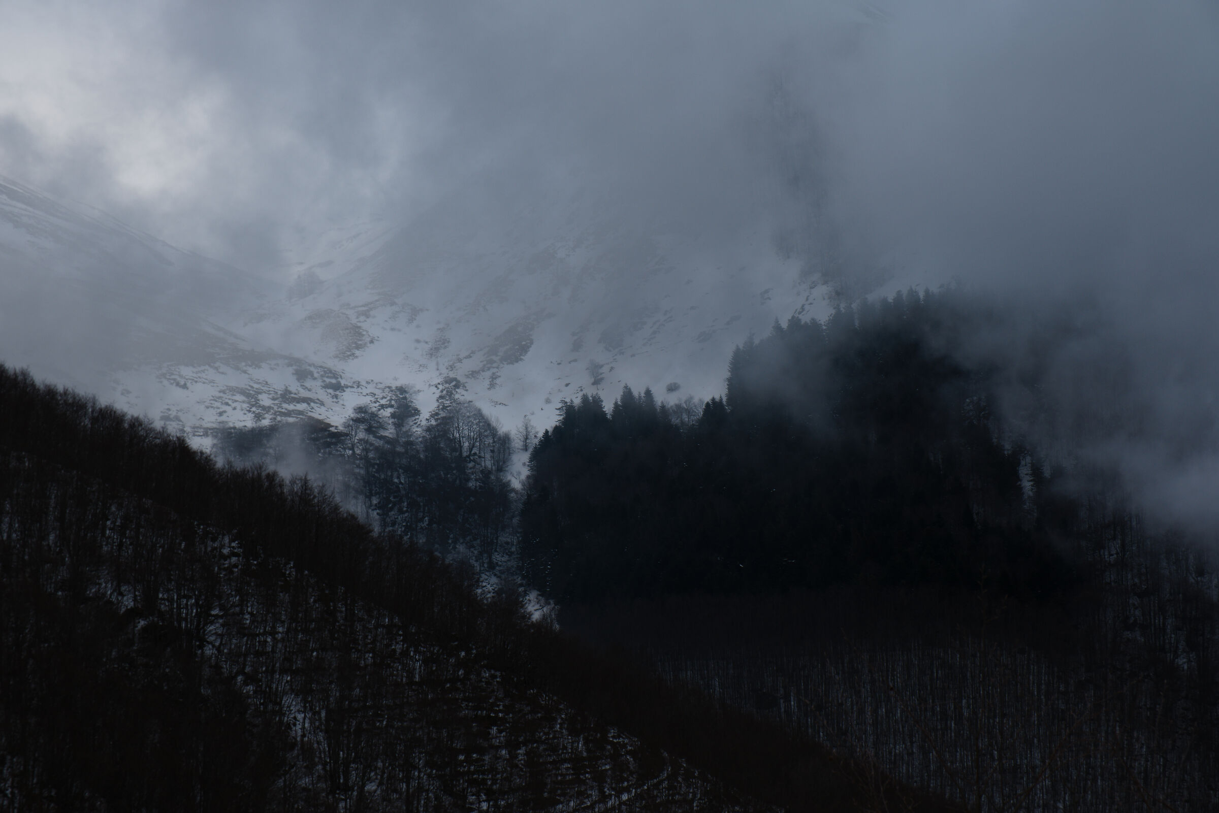 The sound of silence