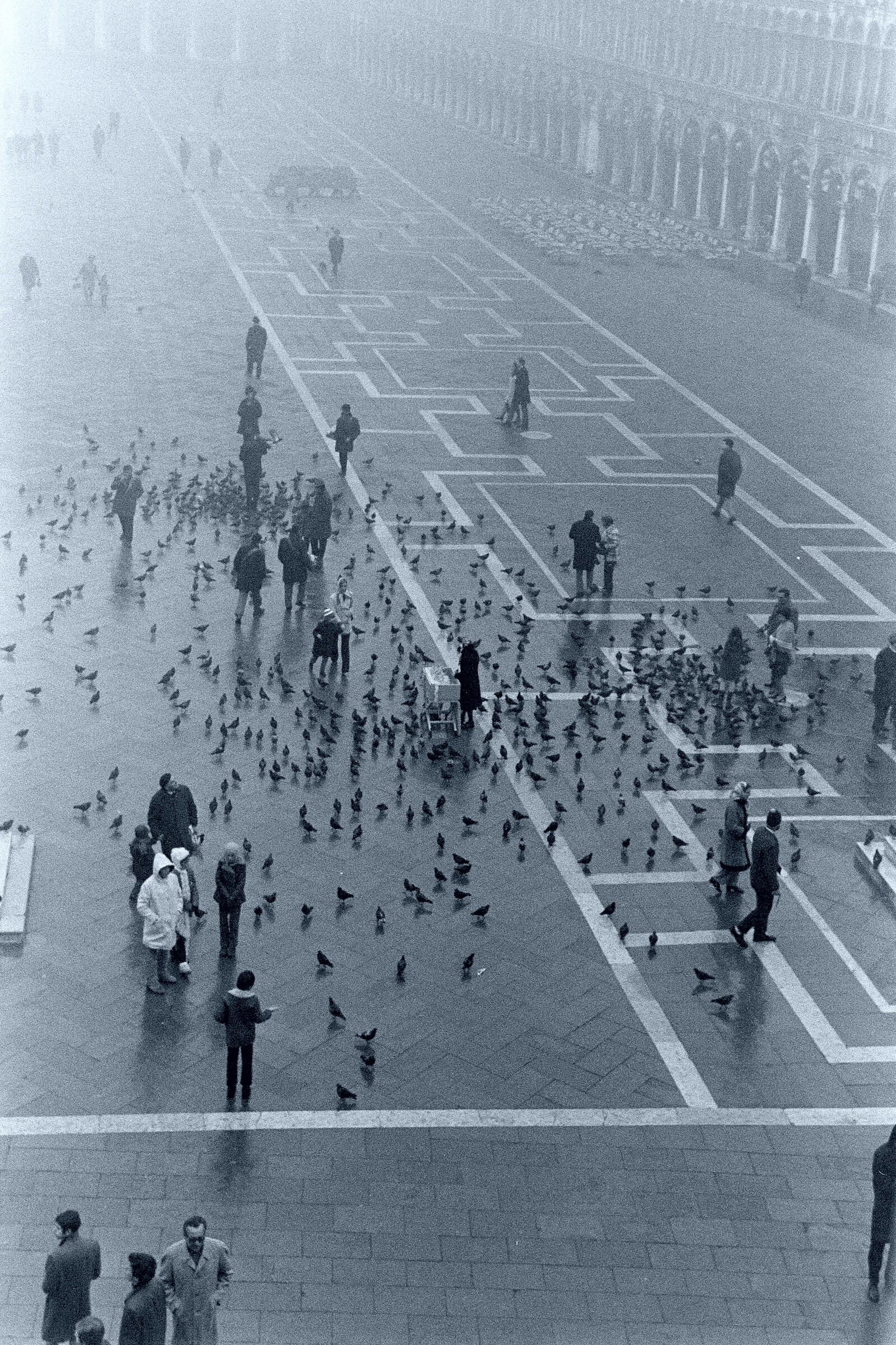 venezia 1970