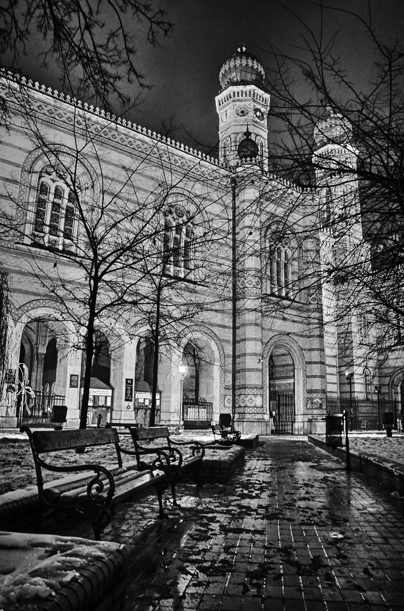 Budapest Sinagogue