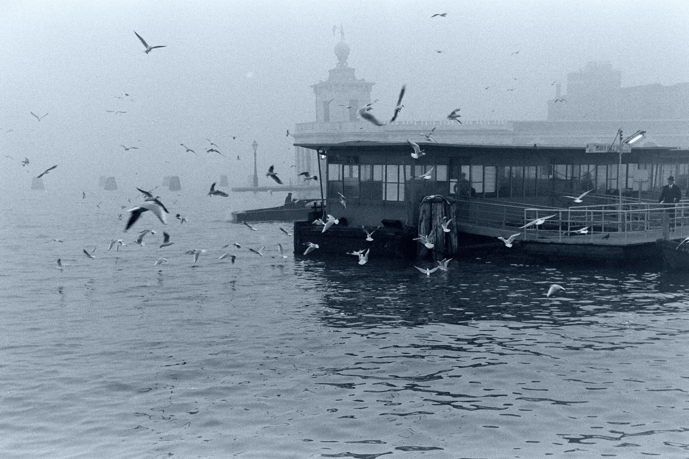 venezia 1970