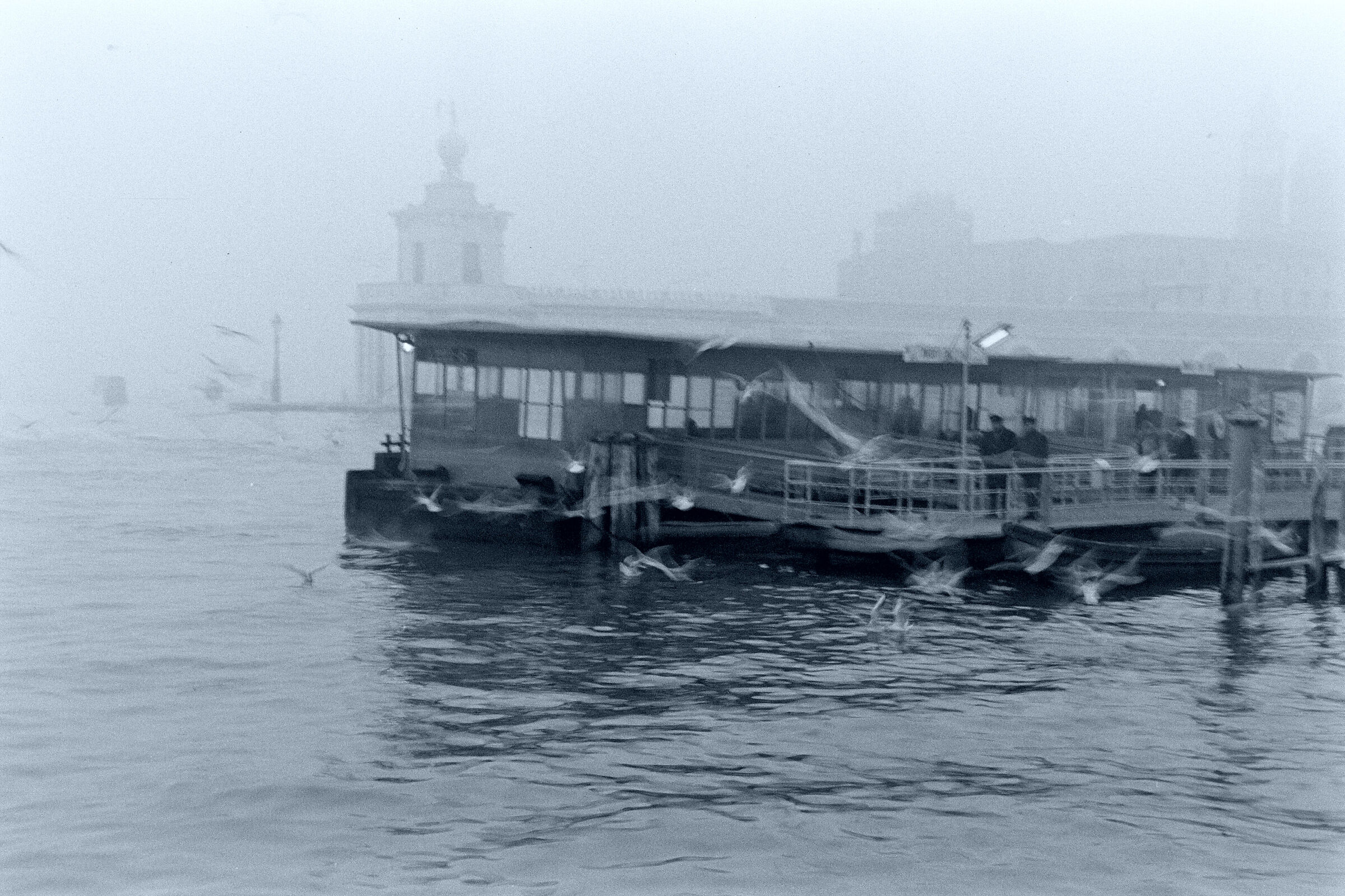 venezia 1970