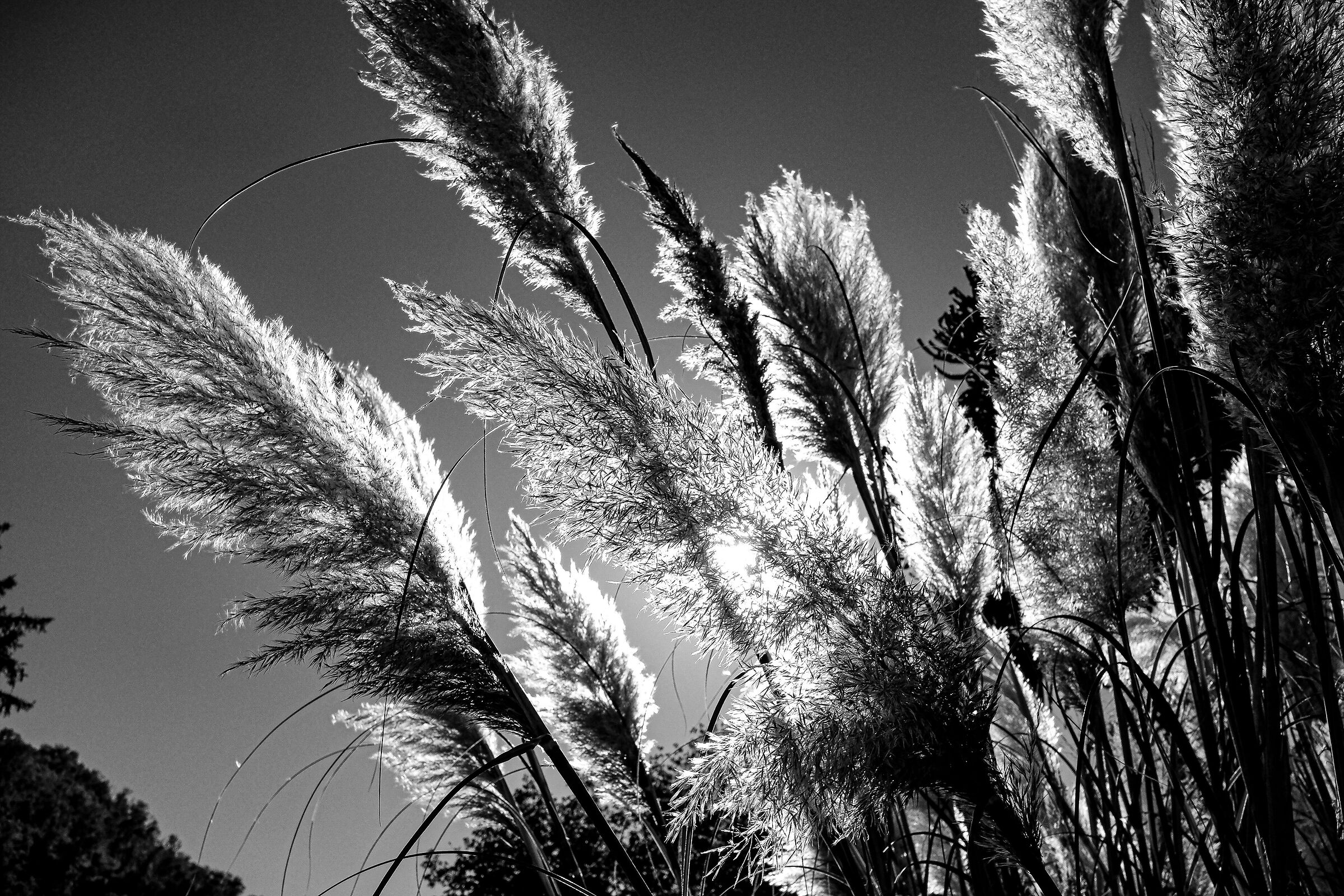 Untitled Photo
