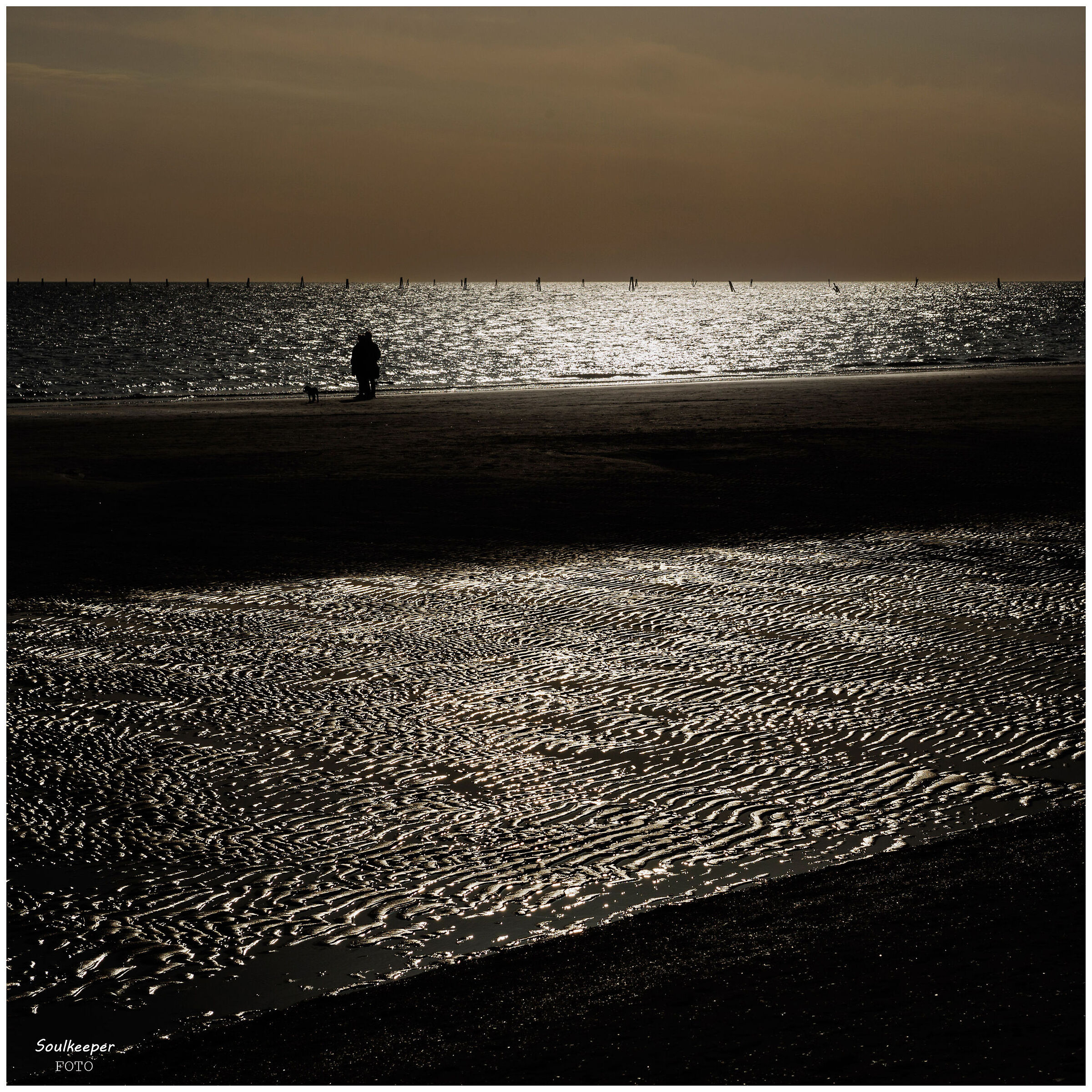 On the shoreline.