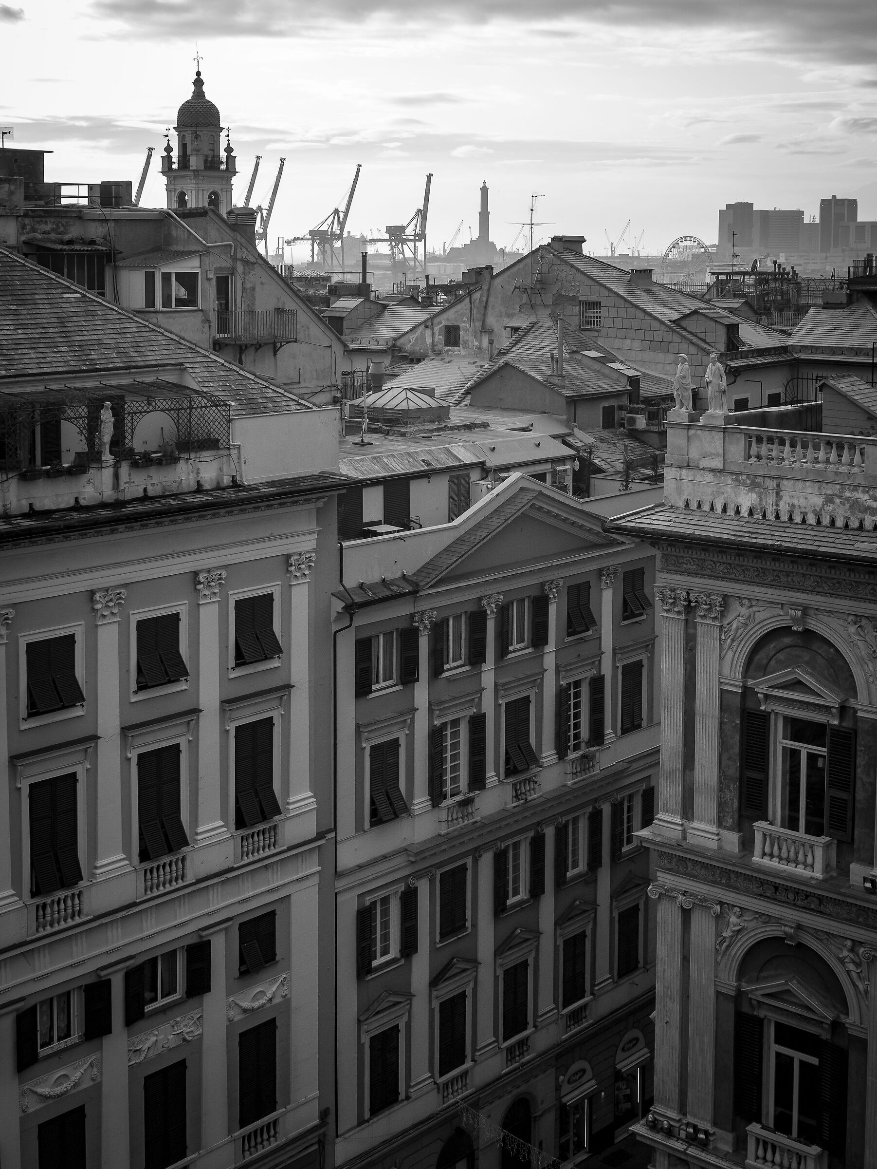 Sui tetti di Genova