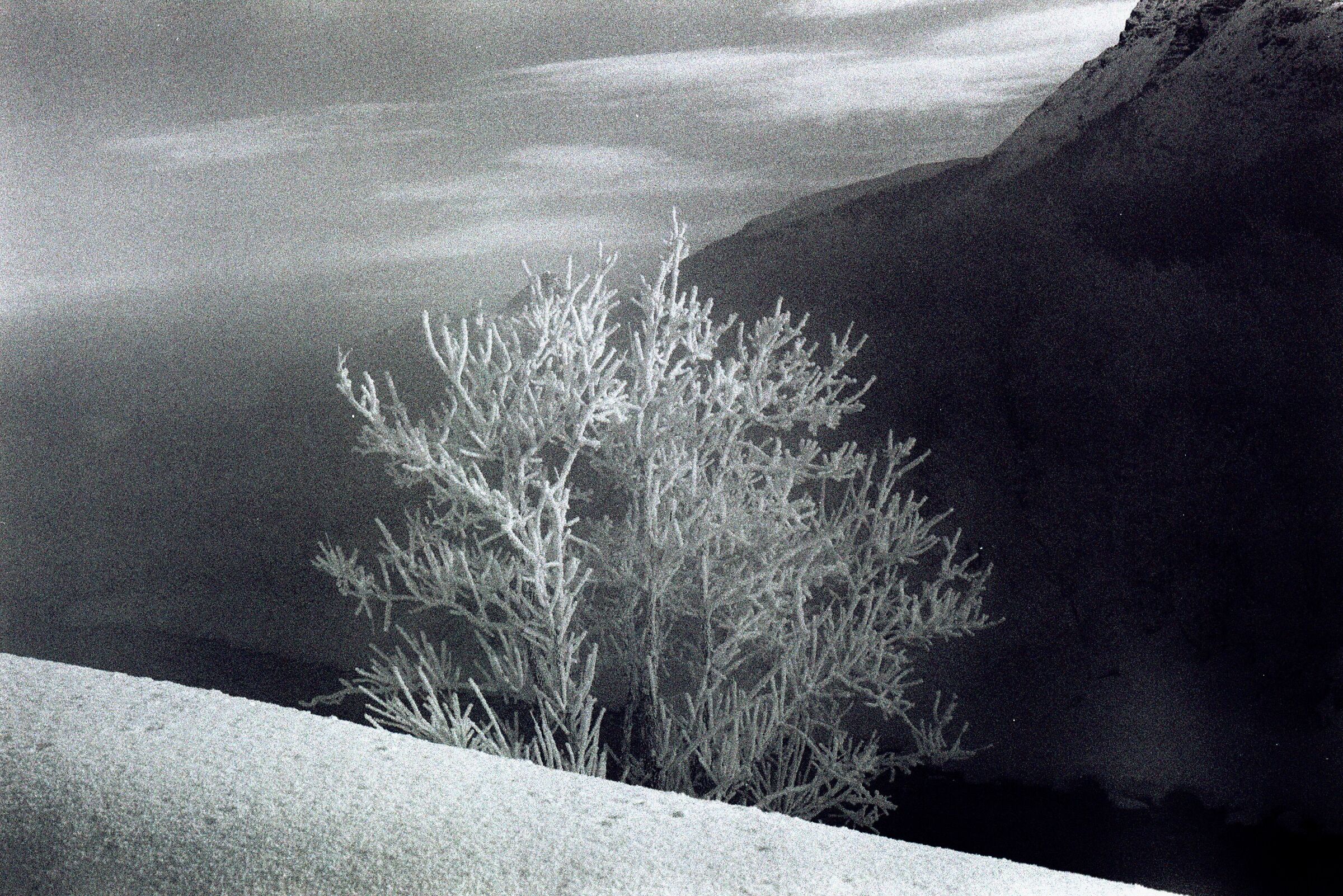 Solitudine e tranquillità