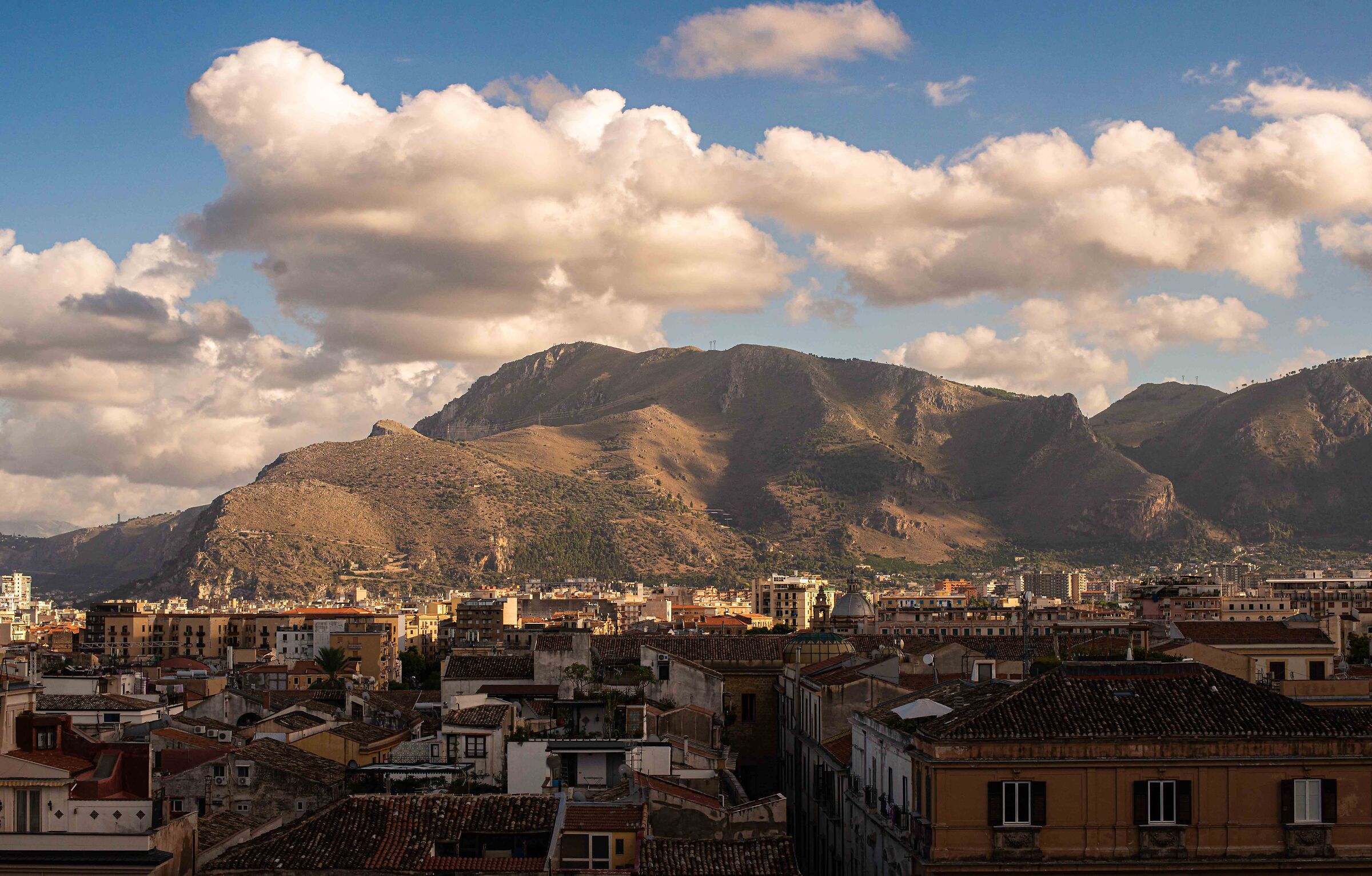 View from the roofs of the cathedral