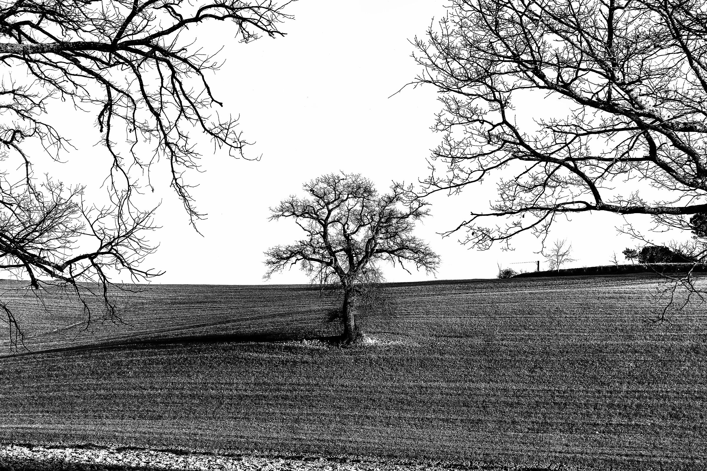 valdichiana meridionale