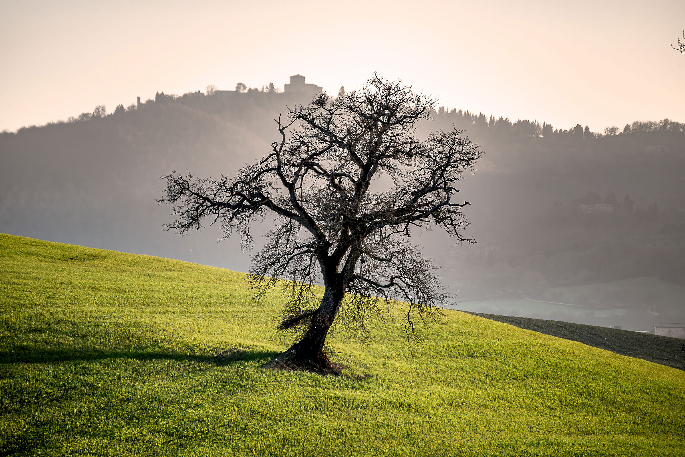 sfumature della campagna umbra val di chiana bassa