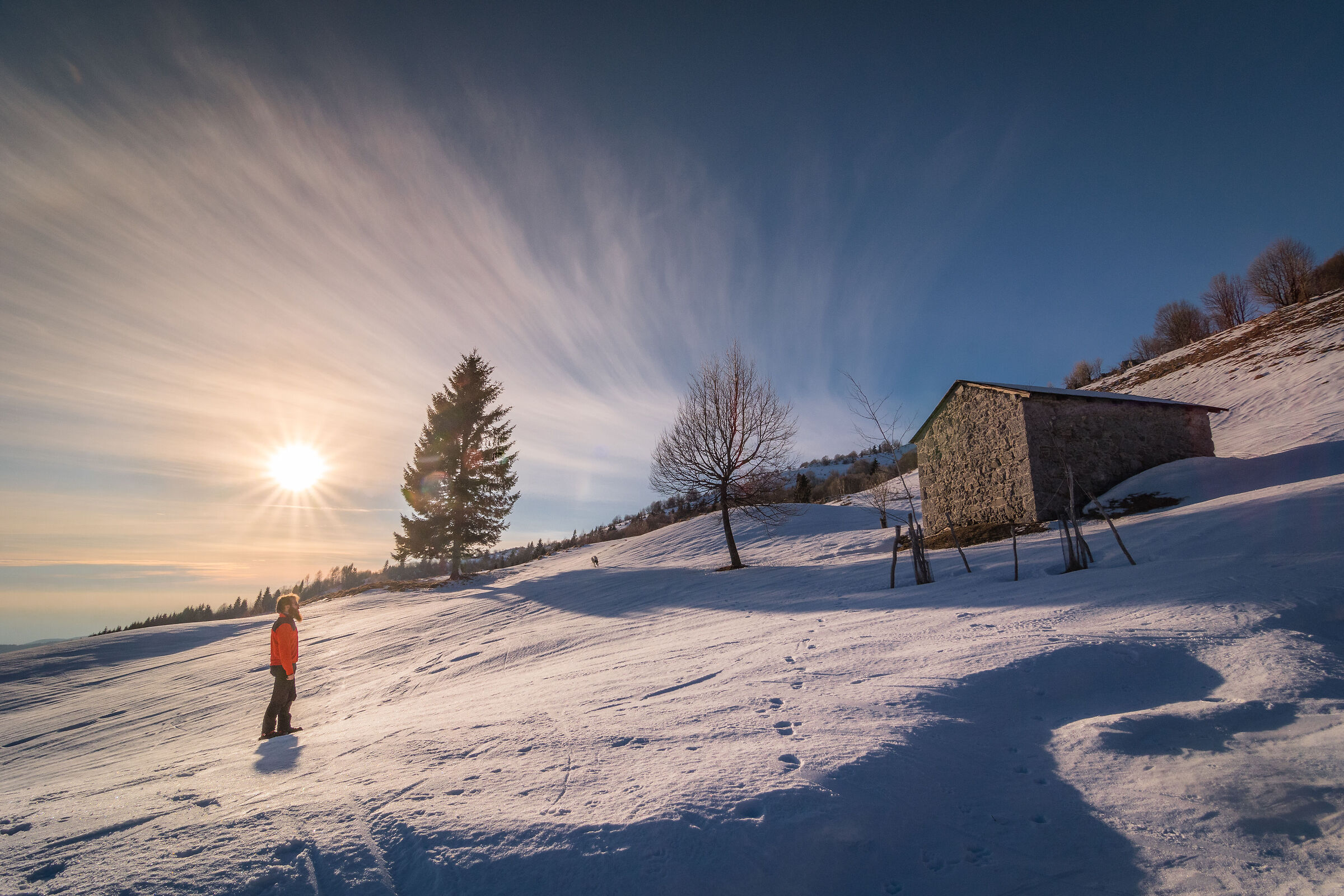 End of winter's dream