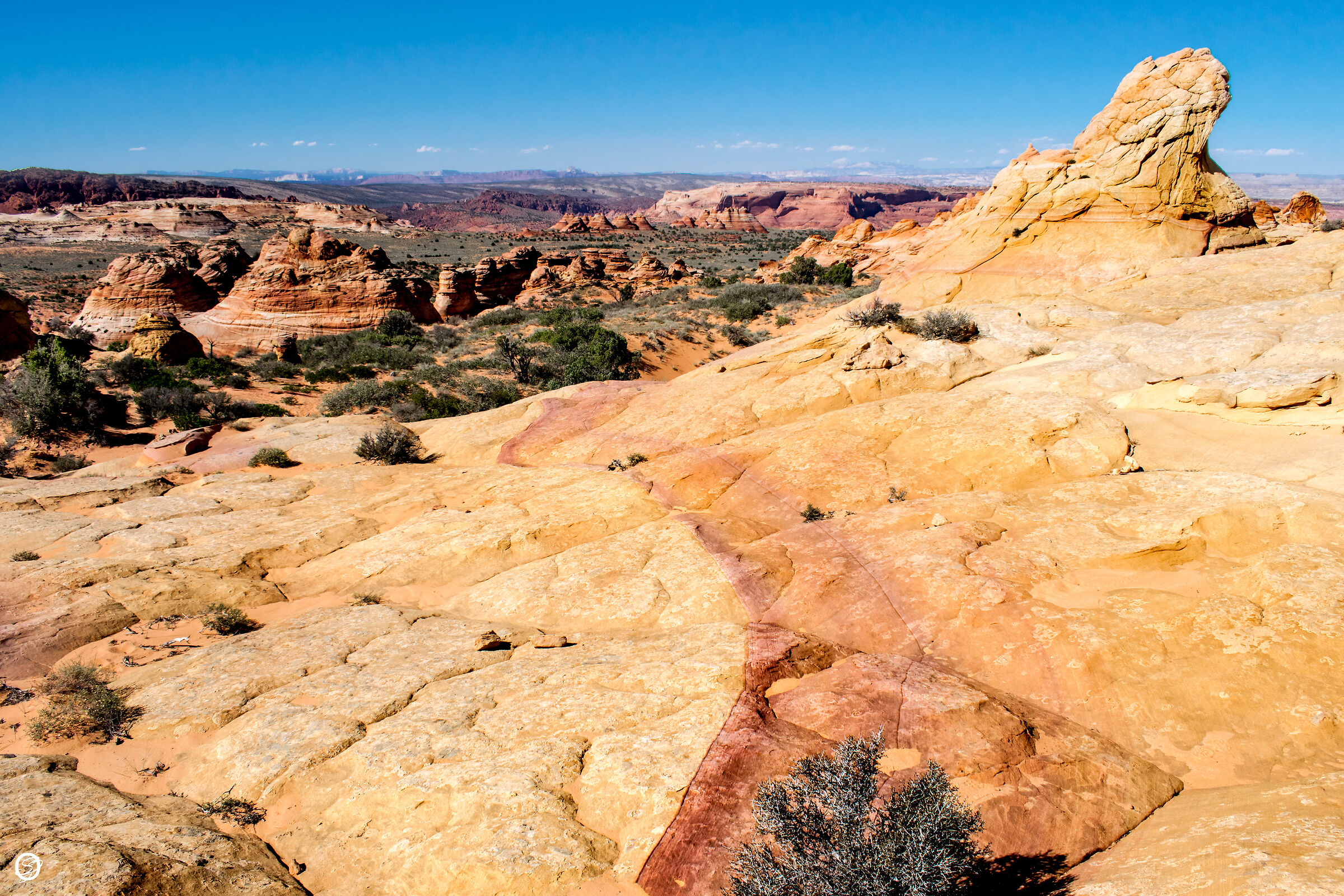South Coyote Buttes- Arizona
