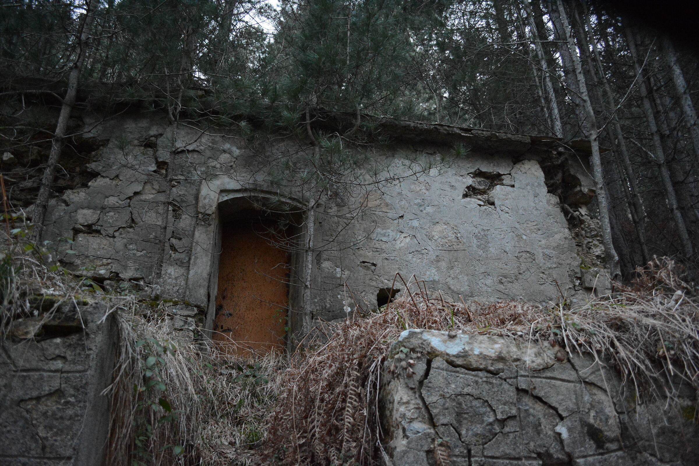 The House in the Woods