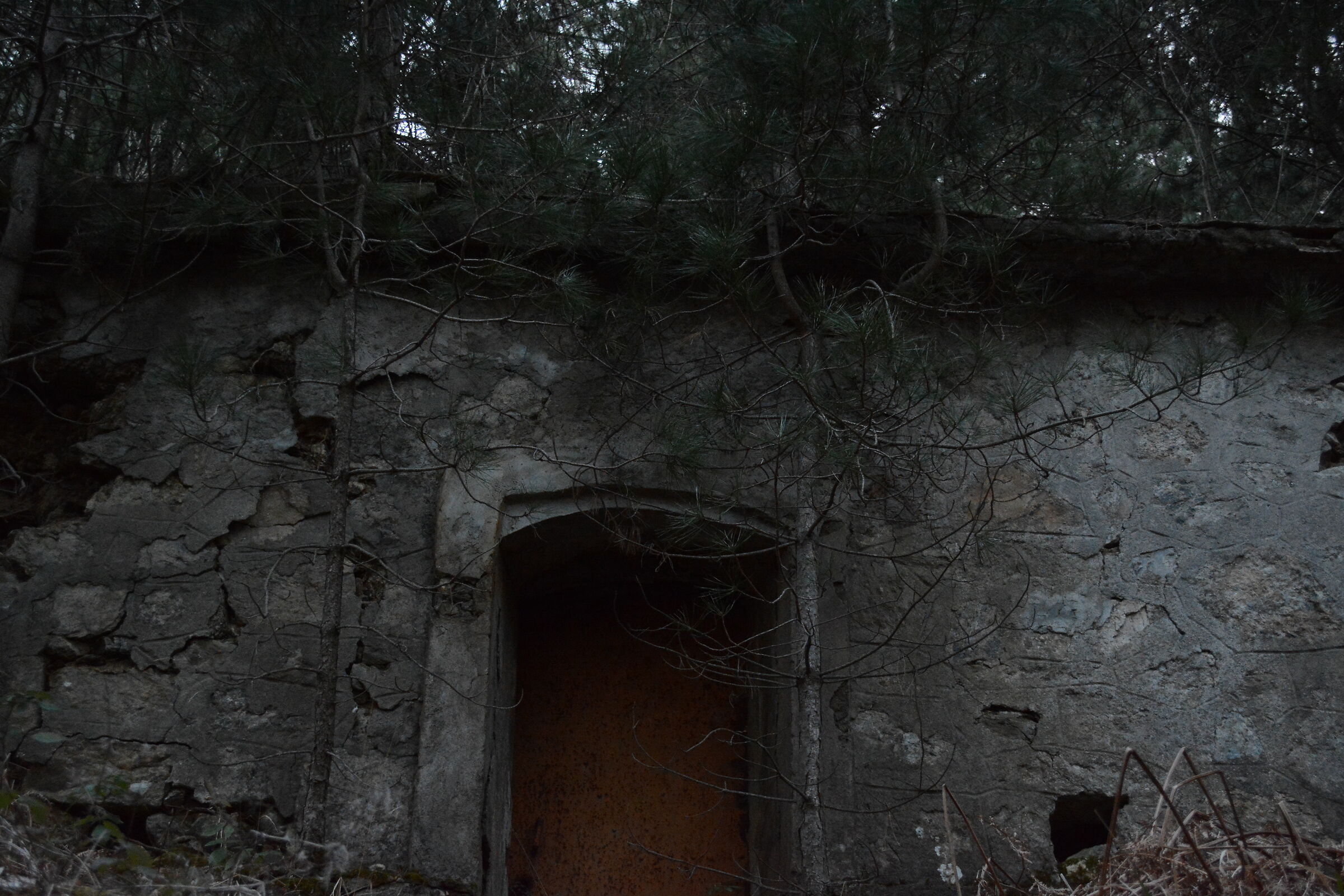 House in the Woods details