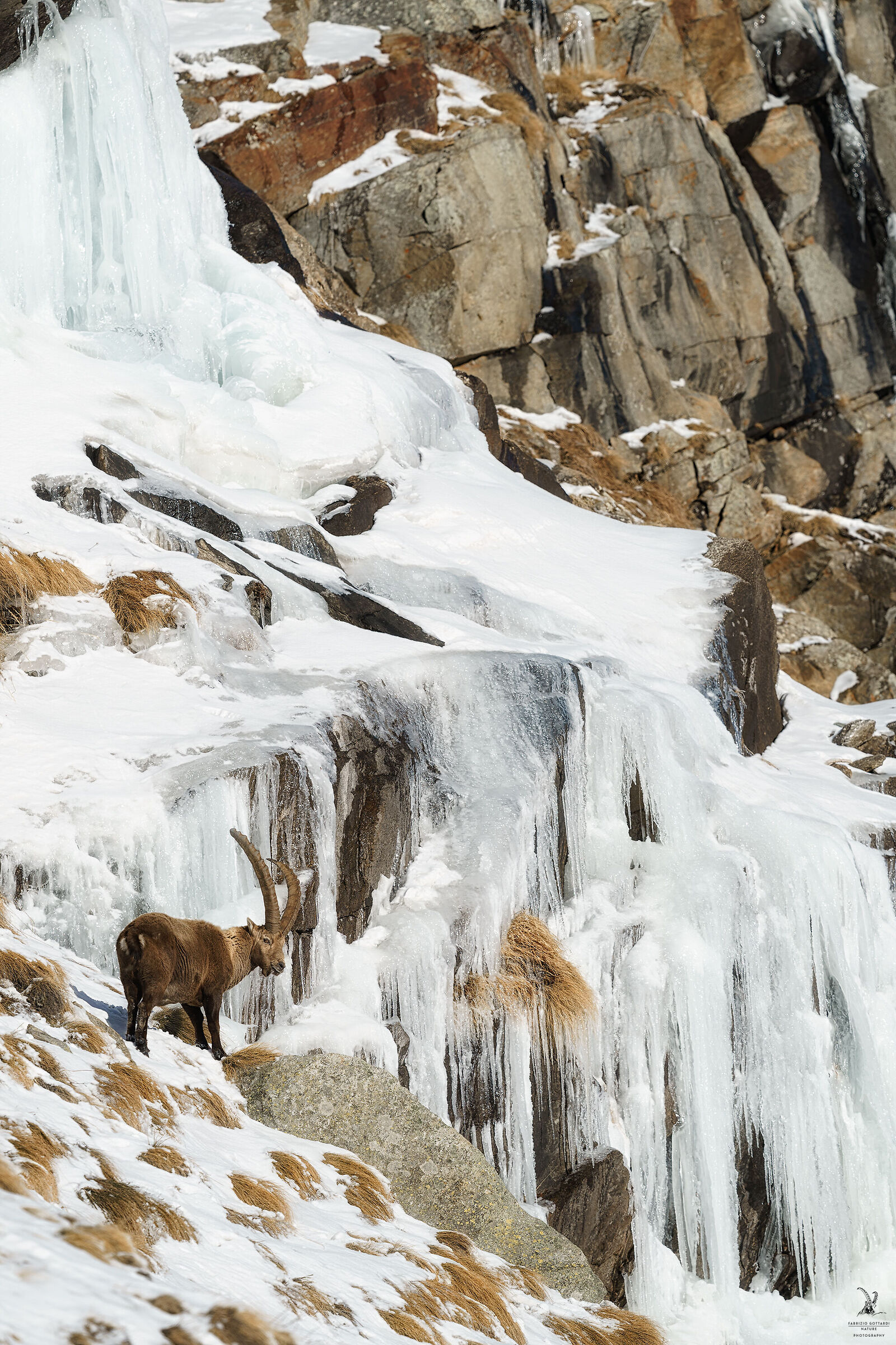 Nature is never trivial