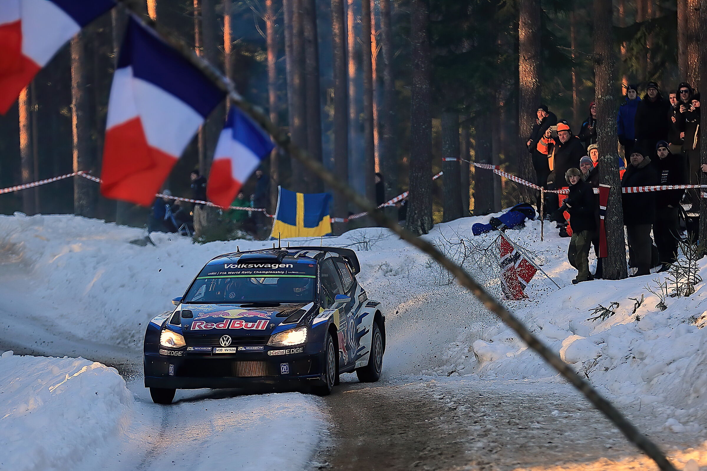 Nei boschi del Warmland