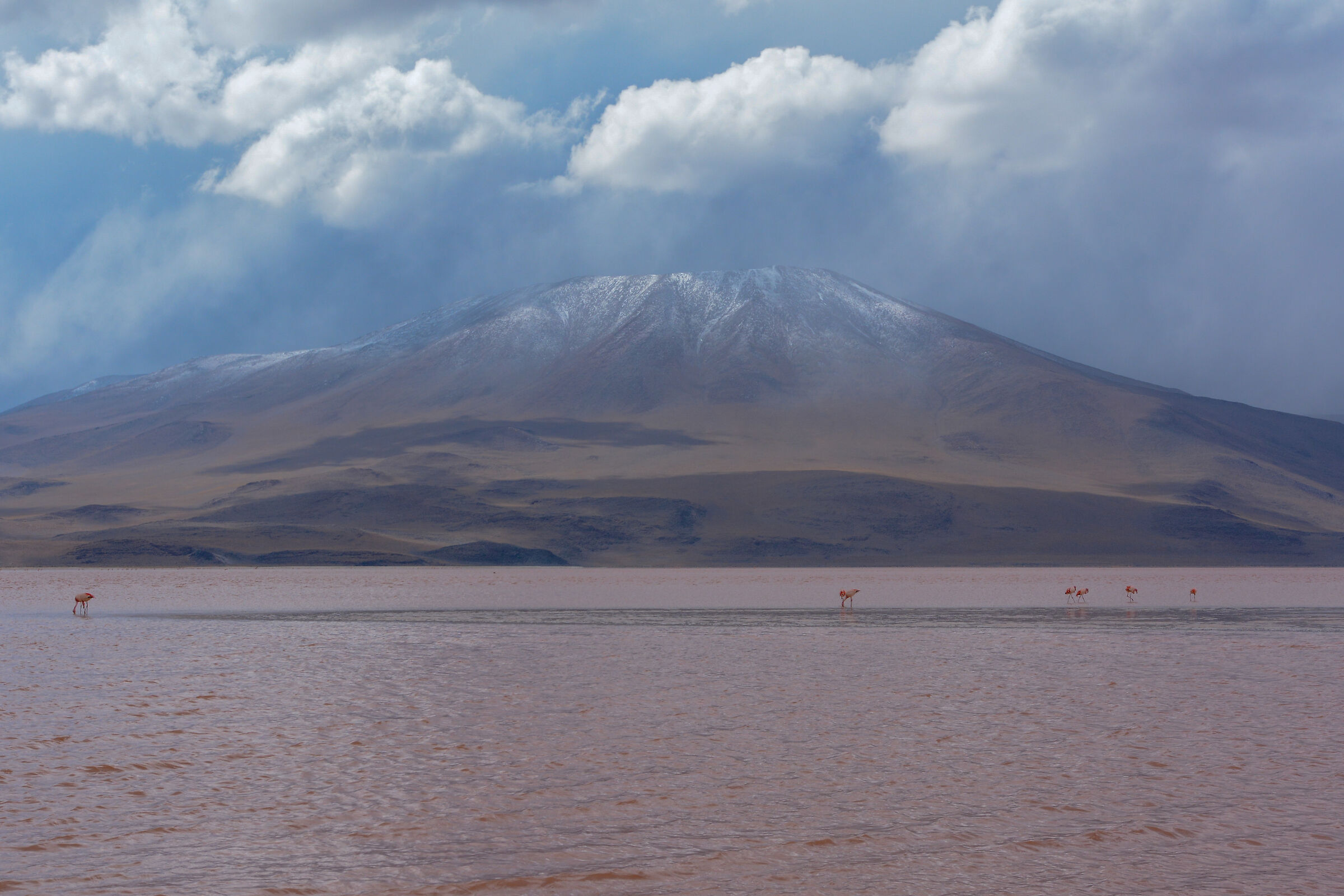 Bolivia - Lagune Colorate