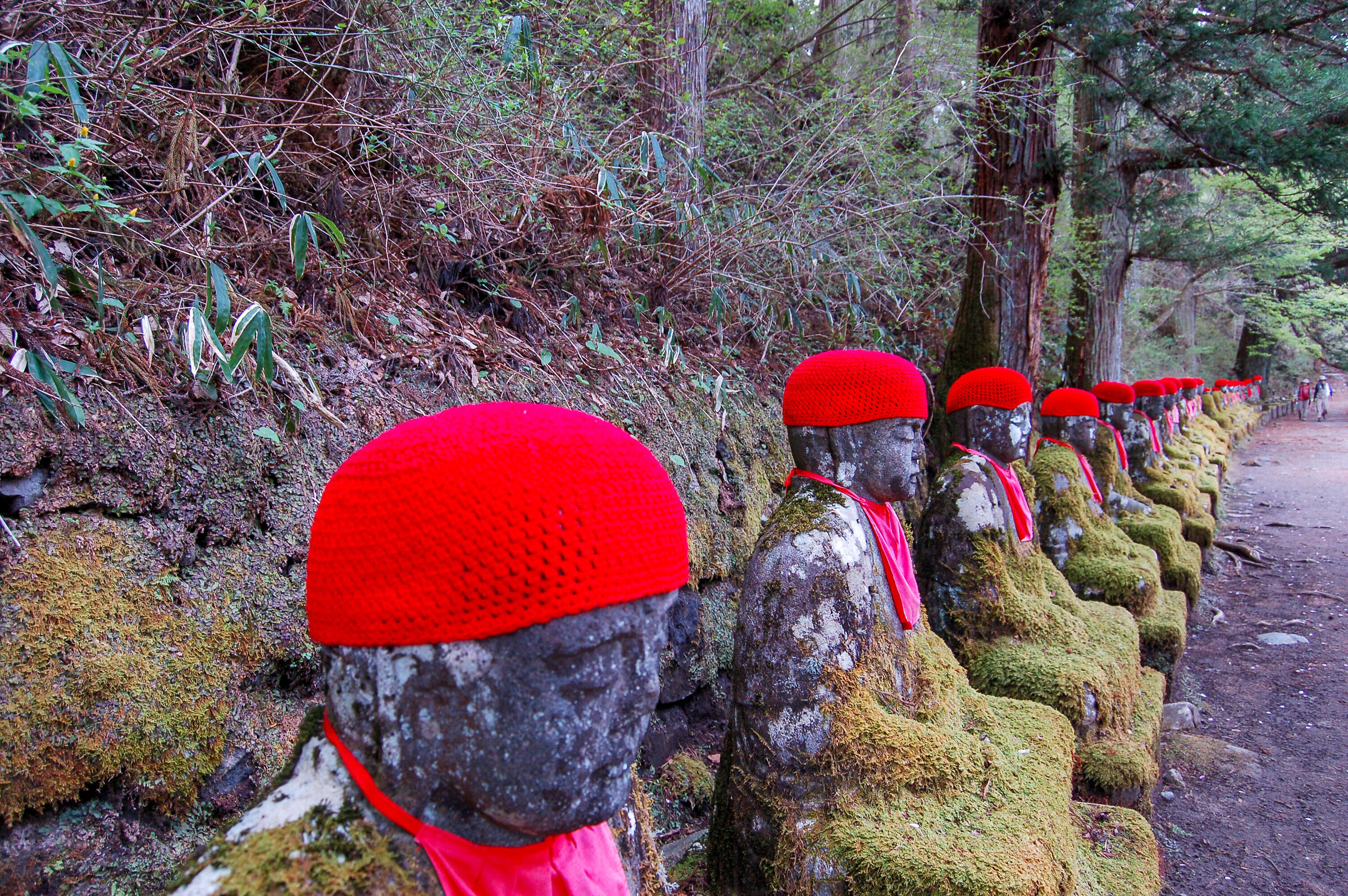 Nikko