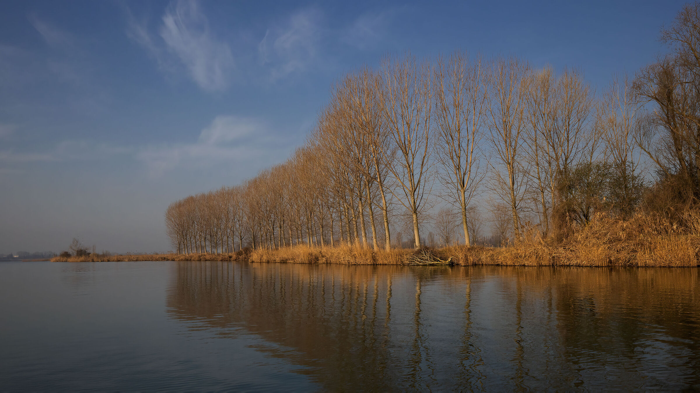 Colori invernali sul Lago Superiore di Mantova