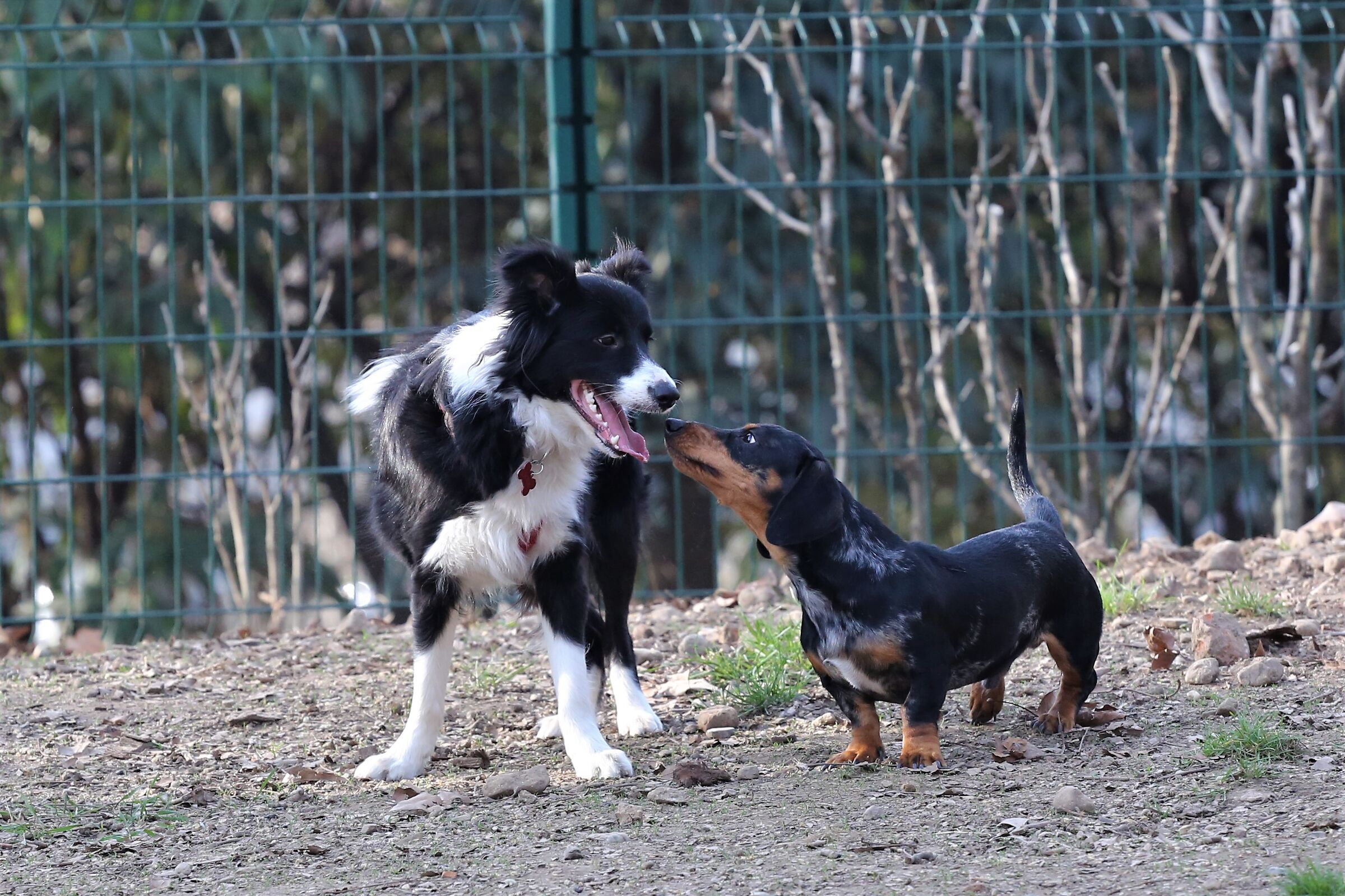 Pssst..What's your name?