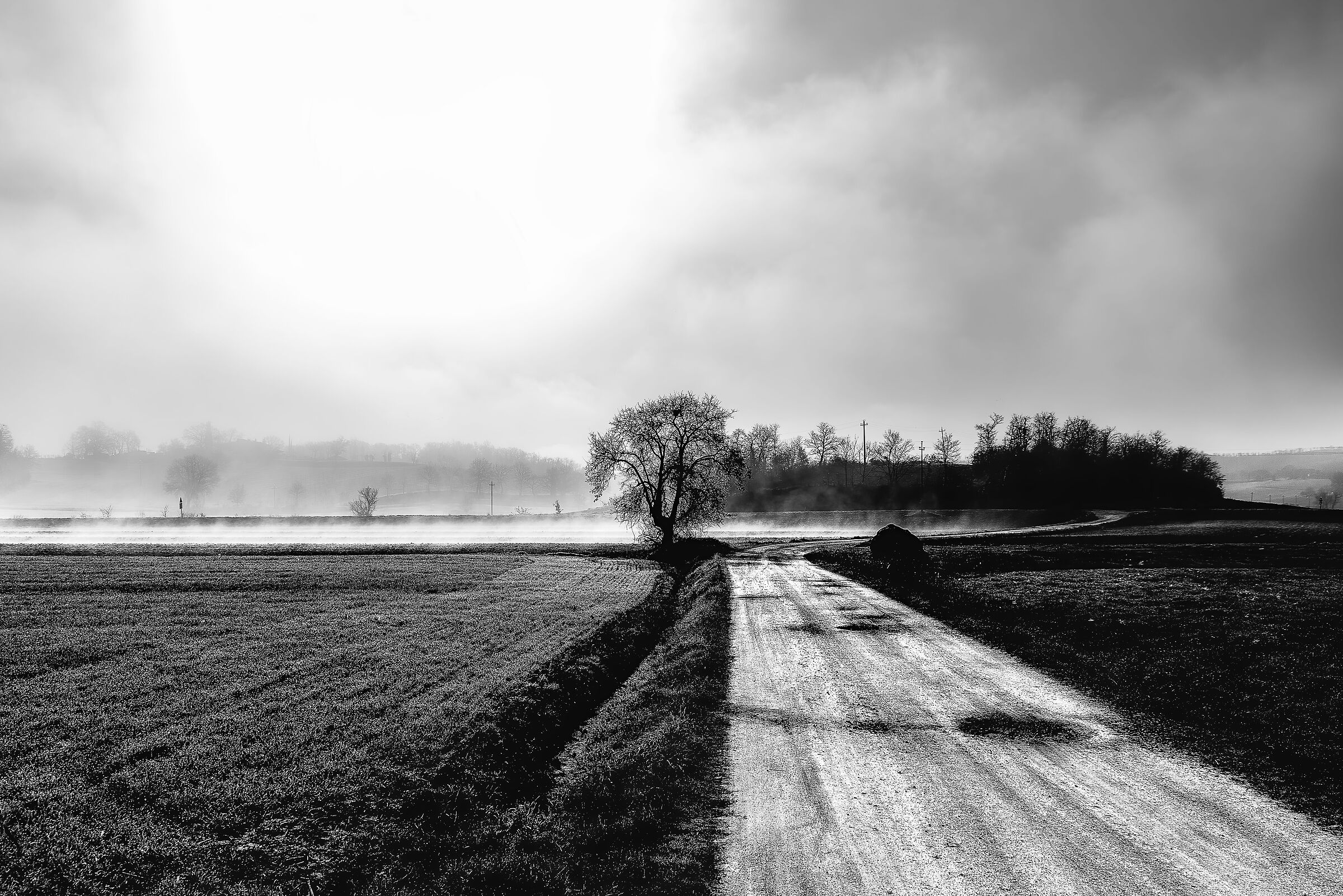 paesaggio mattutino valdichiana meridionale