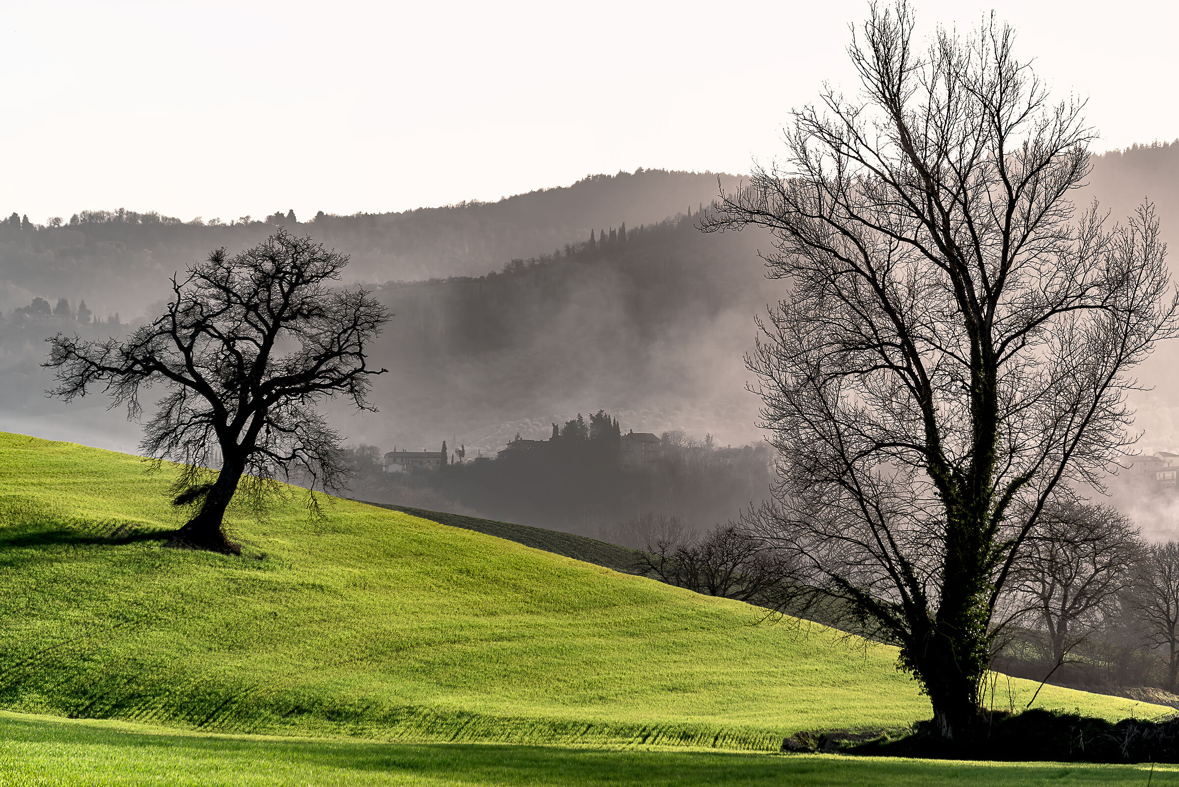 paesaggio  valdichiana meridionale