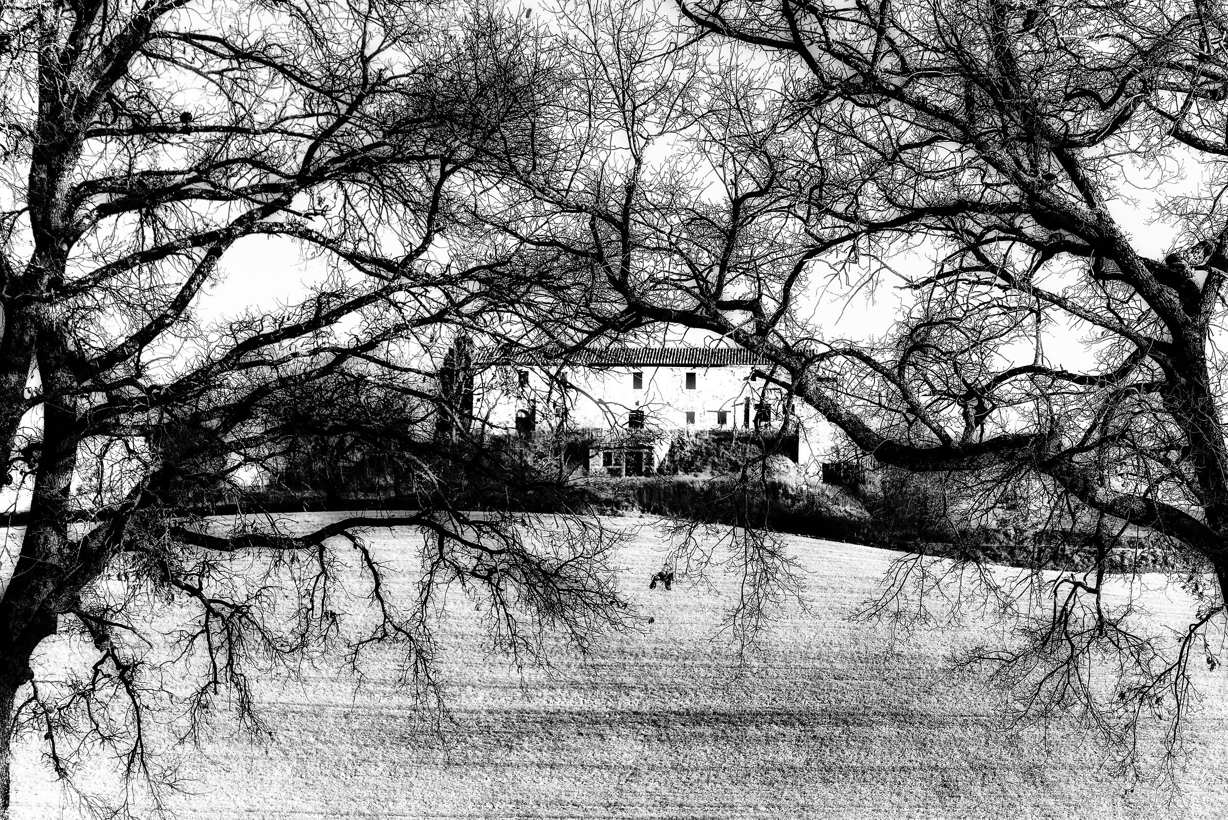 paesaggio mattutino valdichiana meridionale