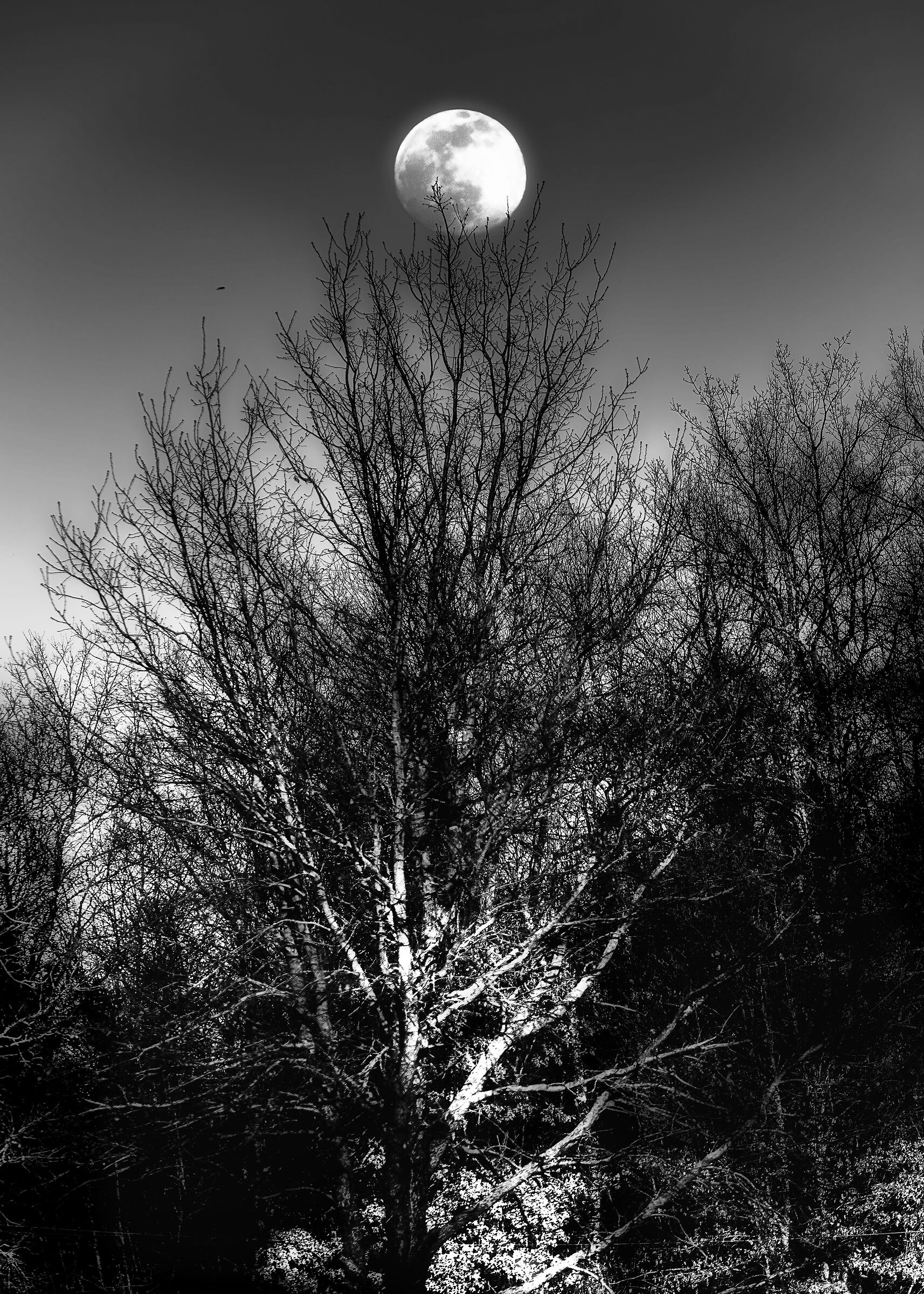 paesaggio  valdichiana meridionale