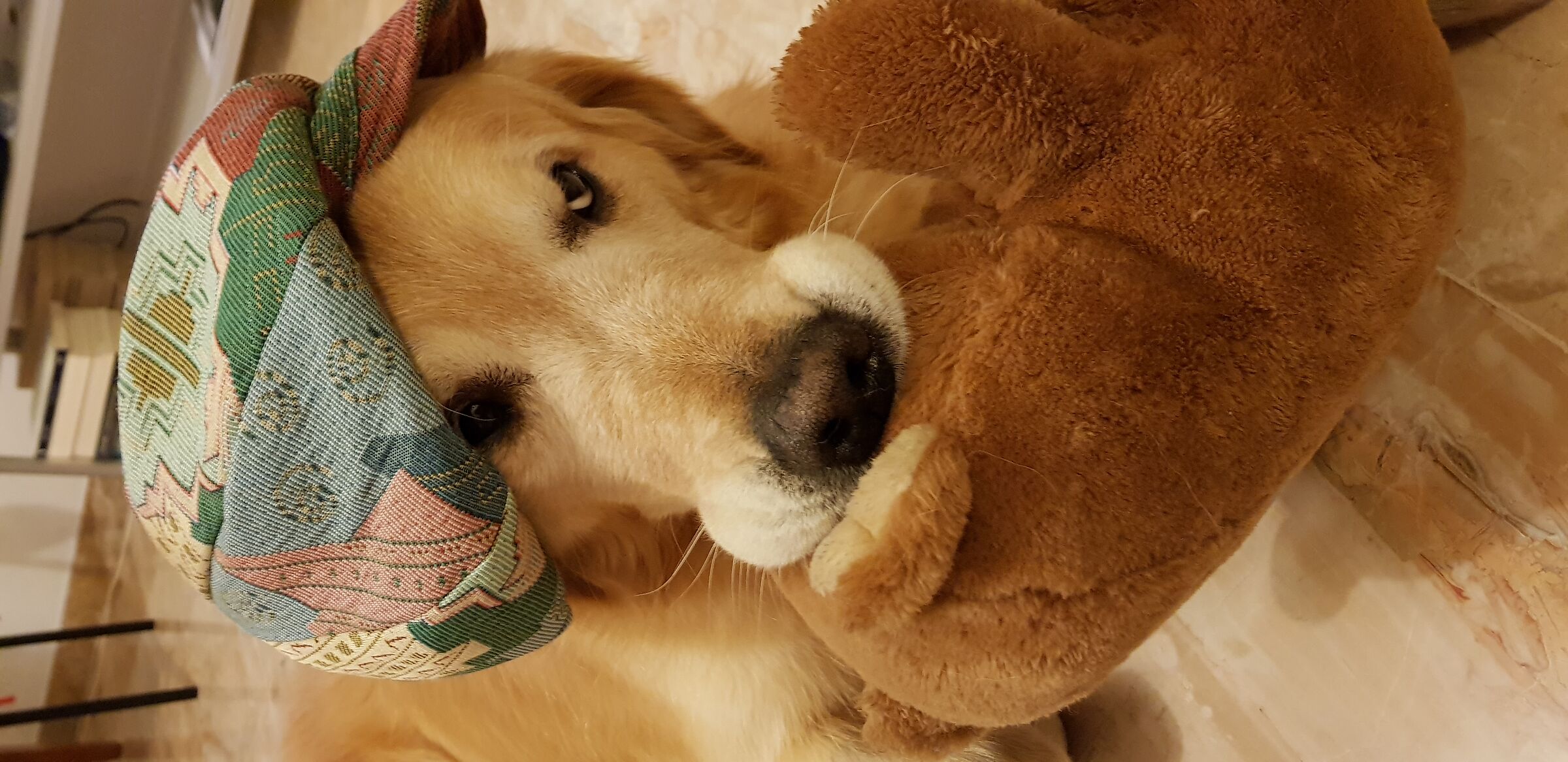 Muzzle from ... "slaps"!!!