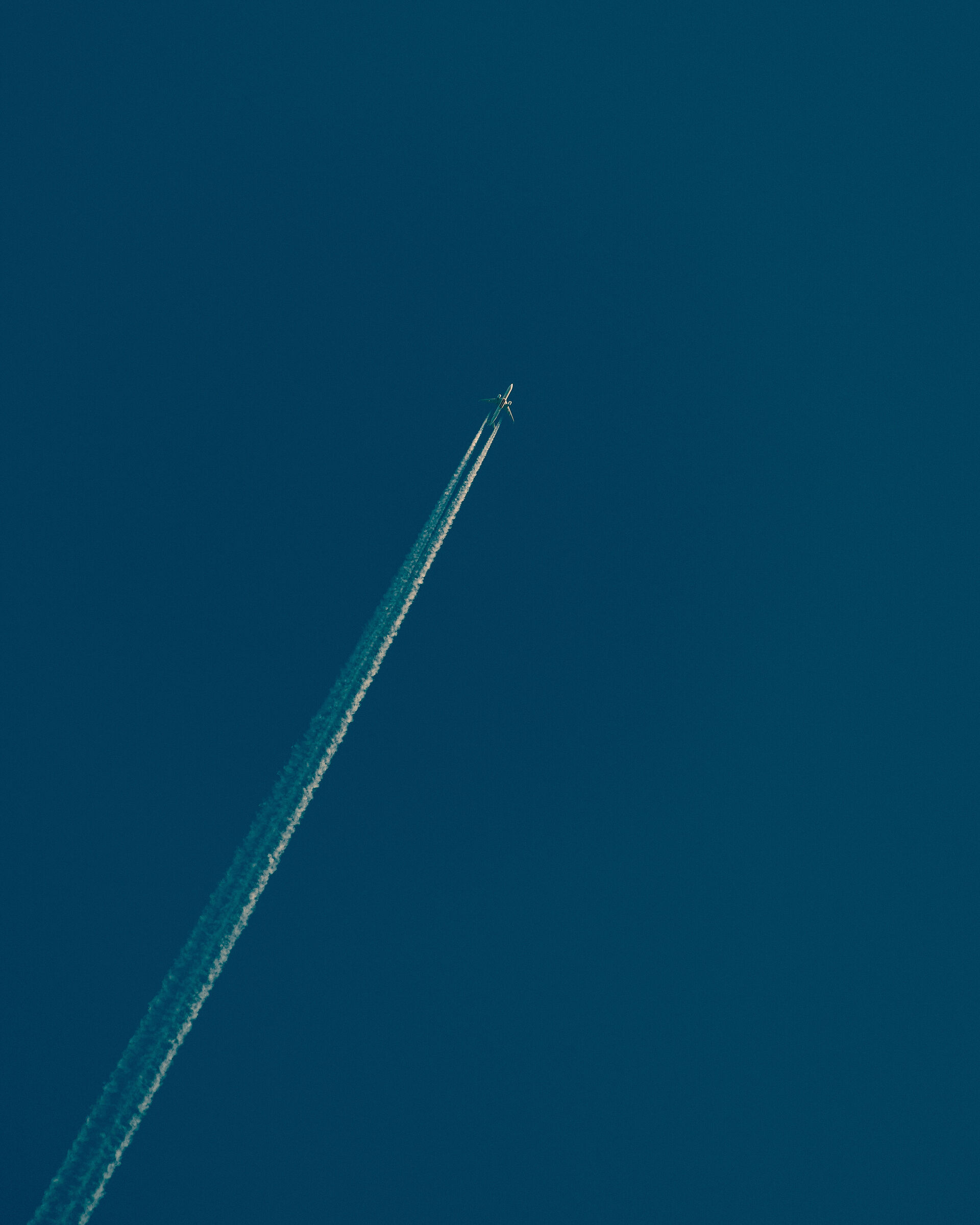 In Blue, painting by Blu