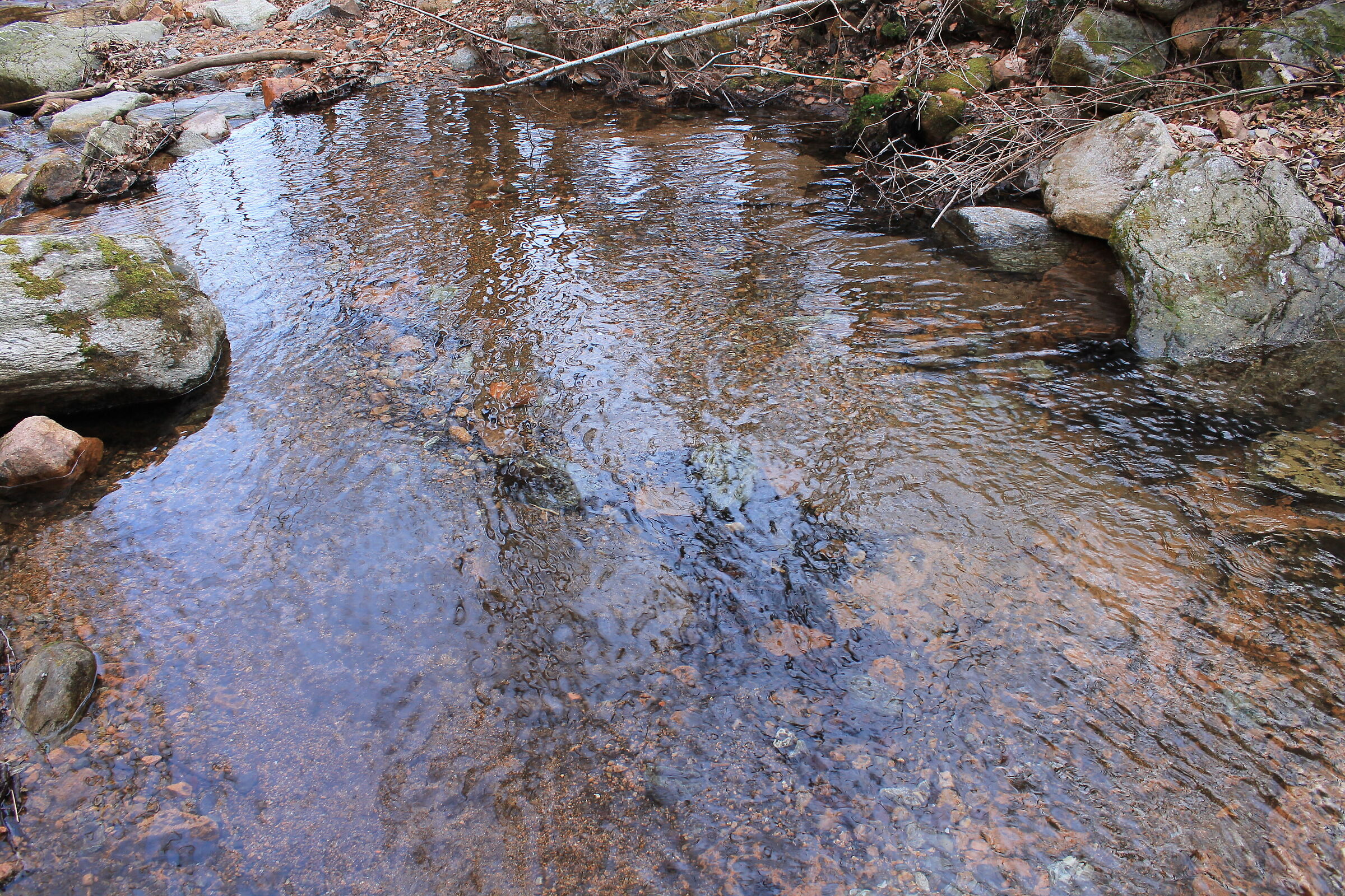 The pool in the stream