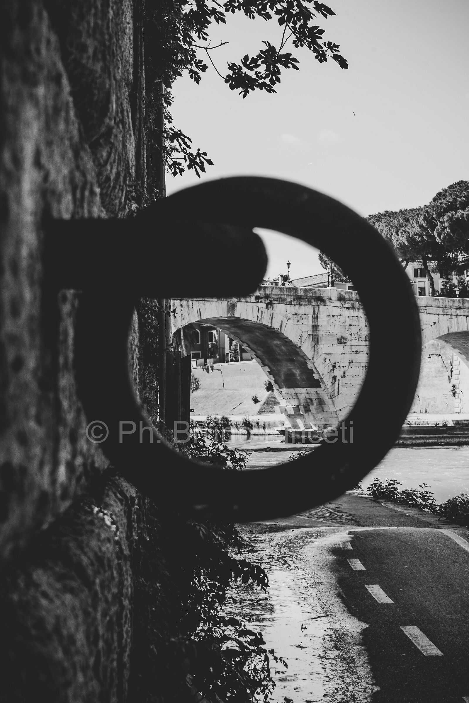 Tiber Island