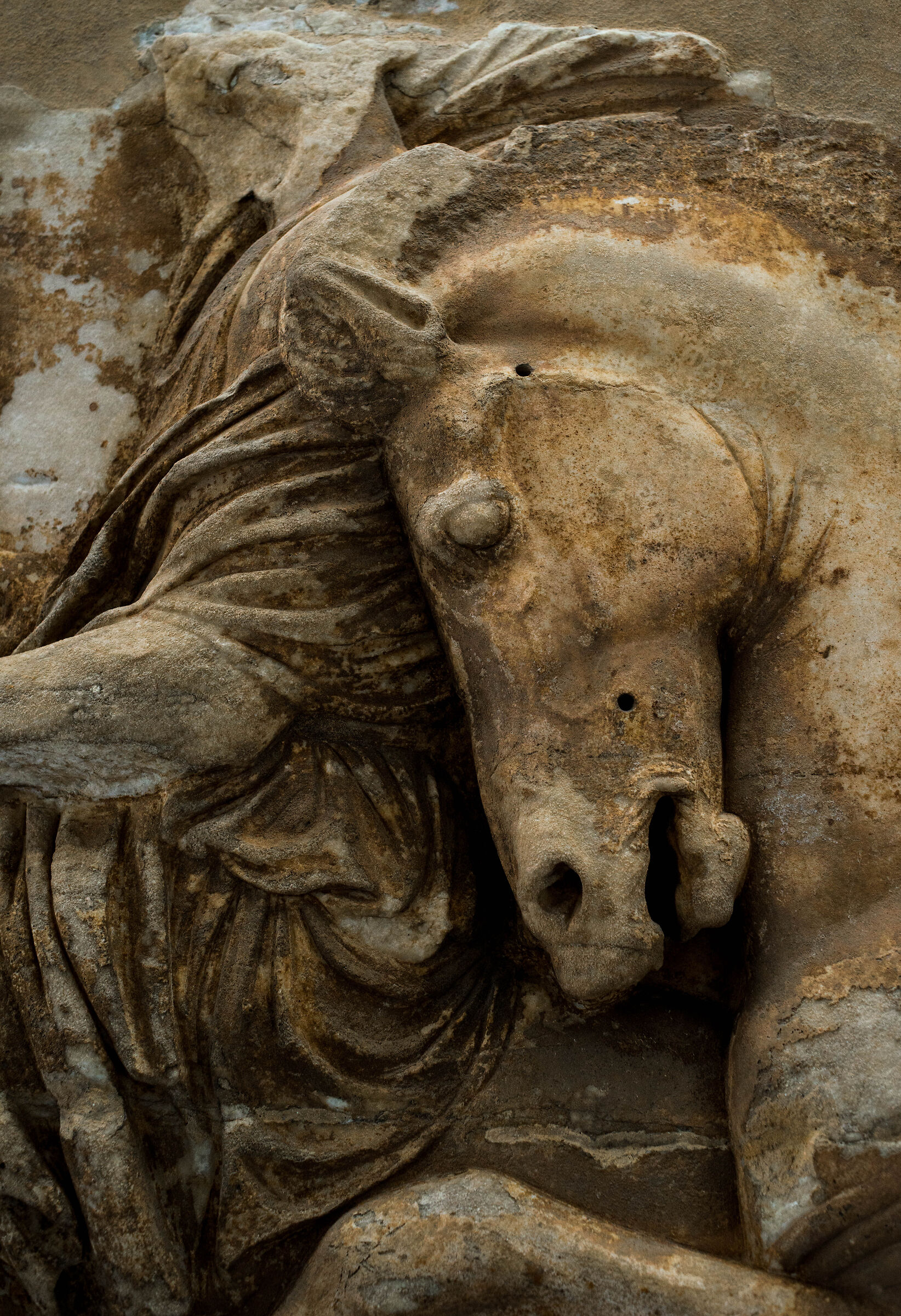 Detail of the Partion's metopes