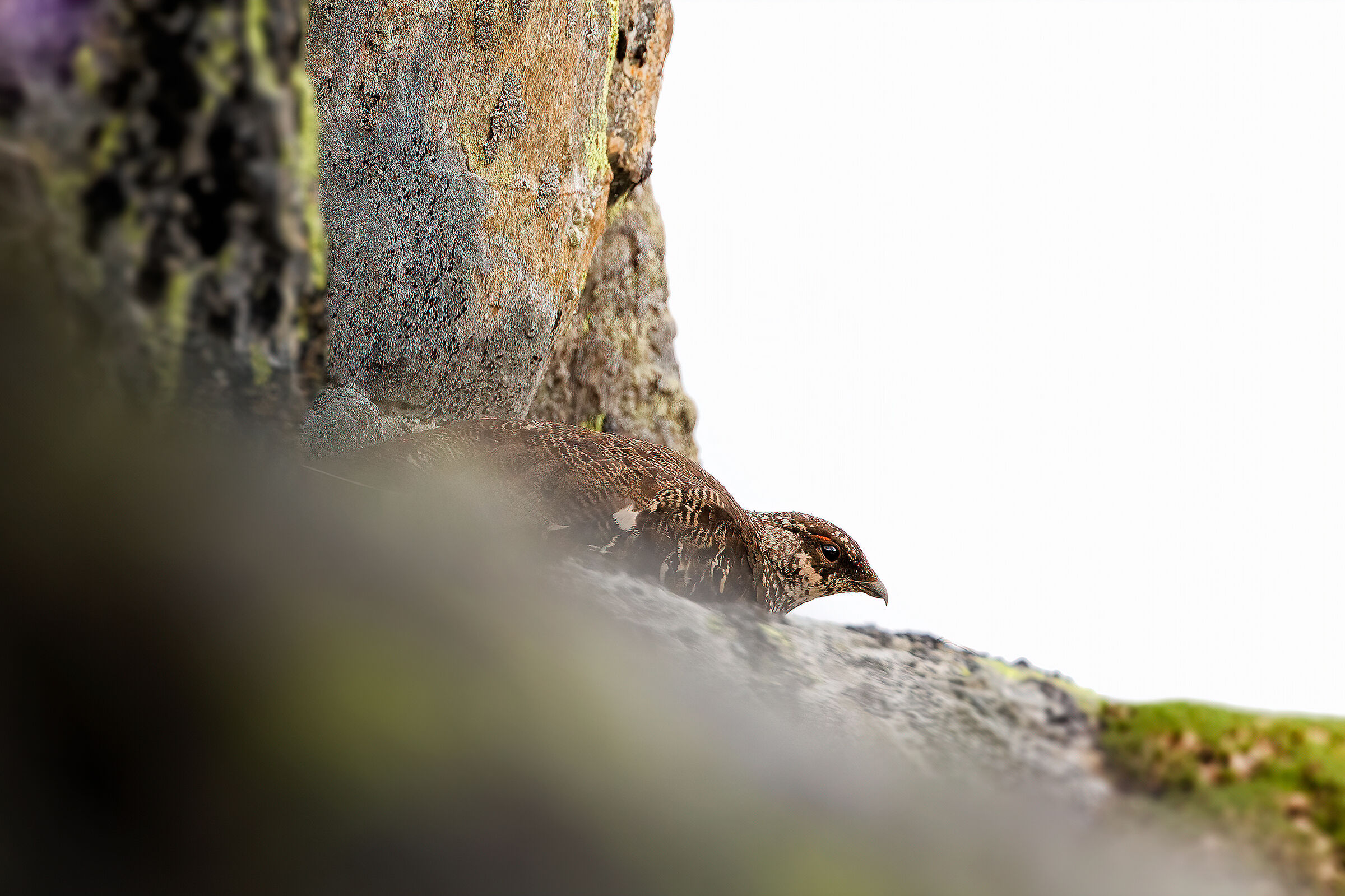 Le rocce hanno gli occhi...