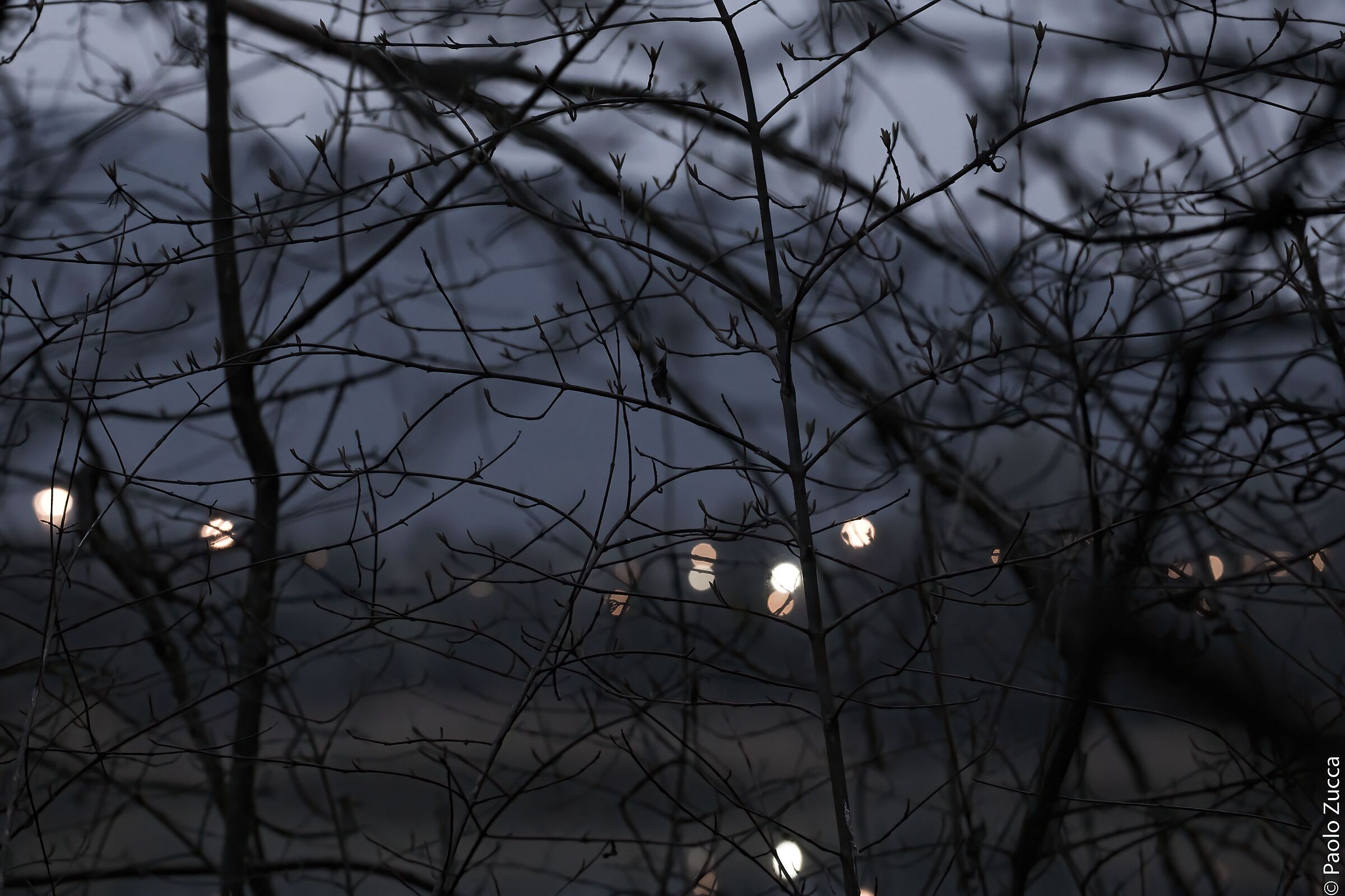Lights will guide you home