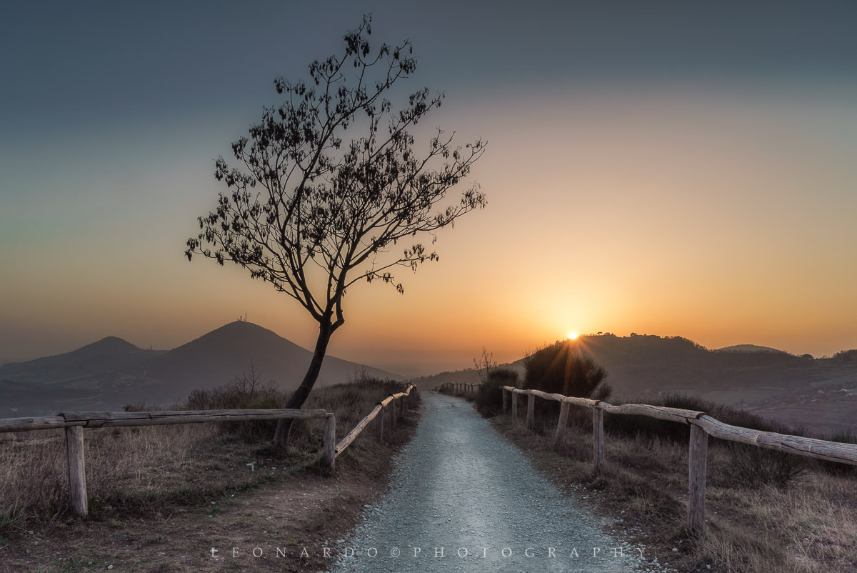 Dal Pianoro del Mottolone (Colli Euganei)