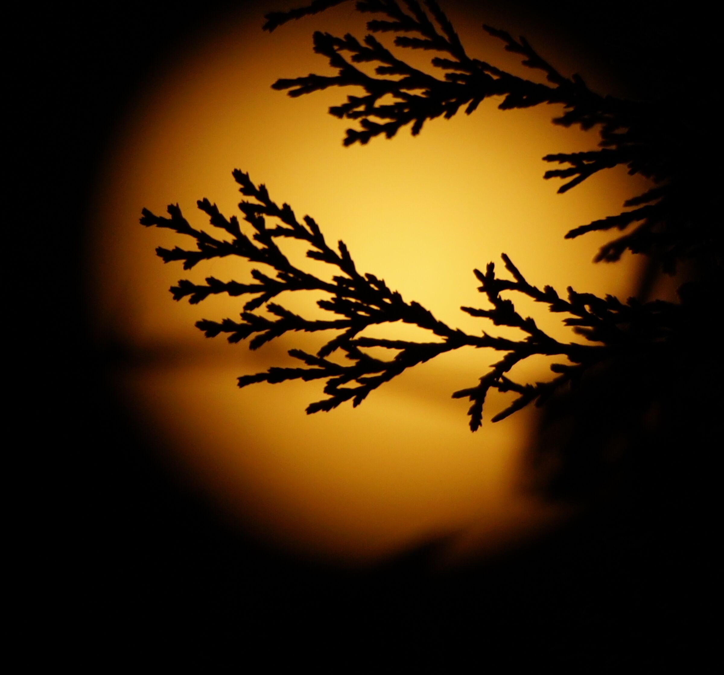 Luna ci prendi in giro?