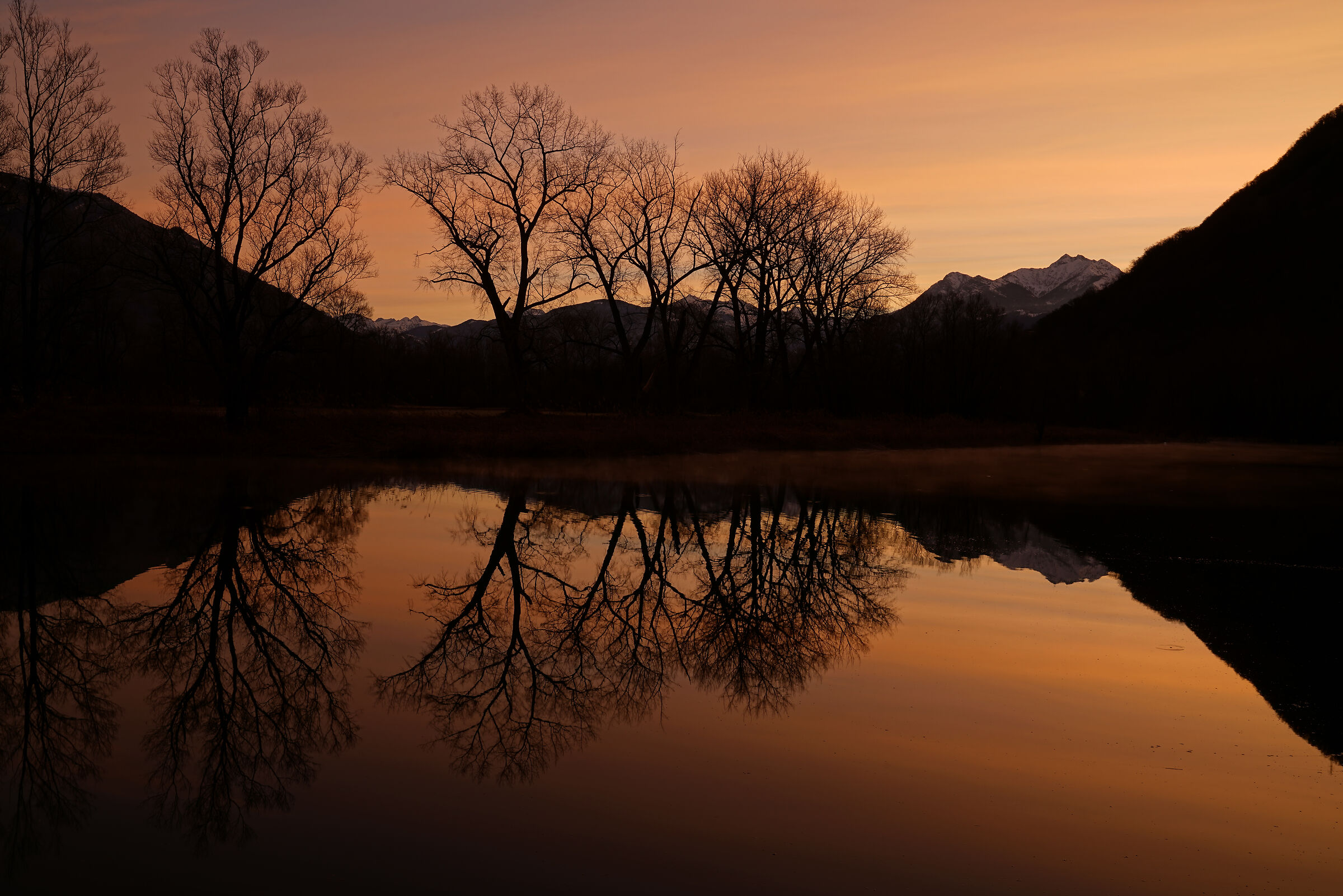 Silence Is Golden