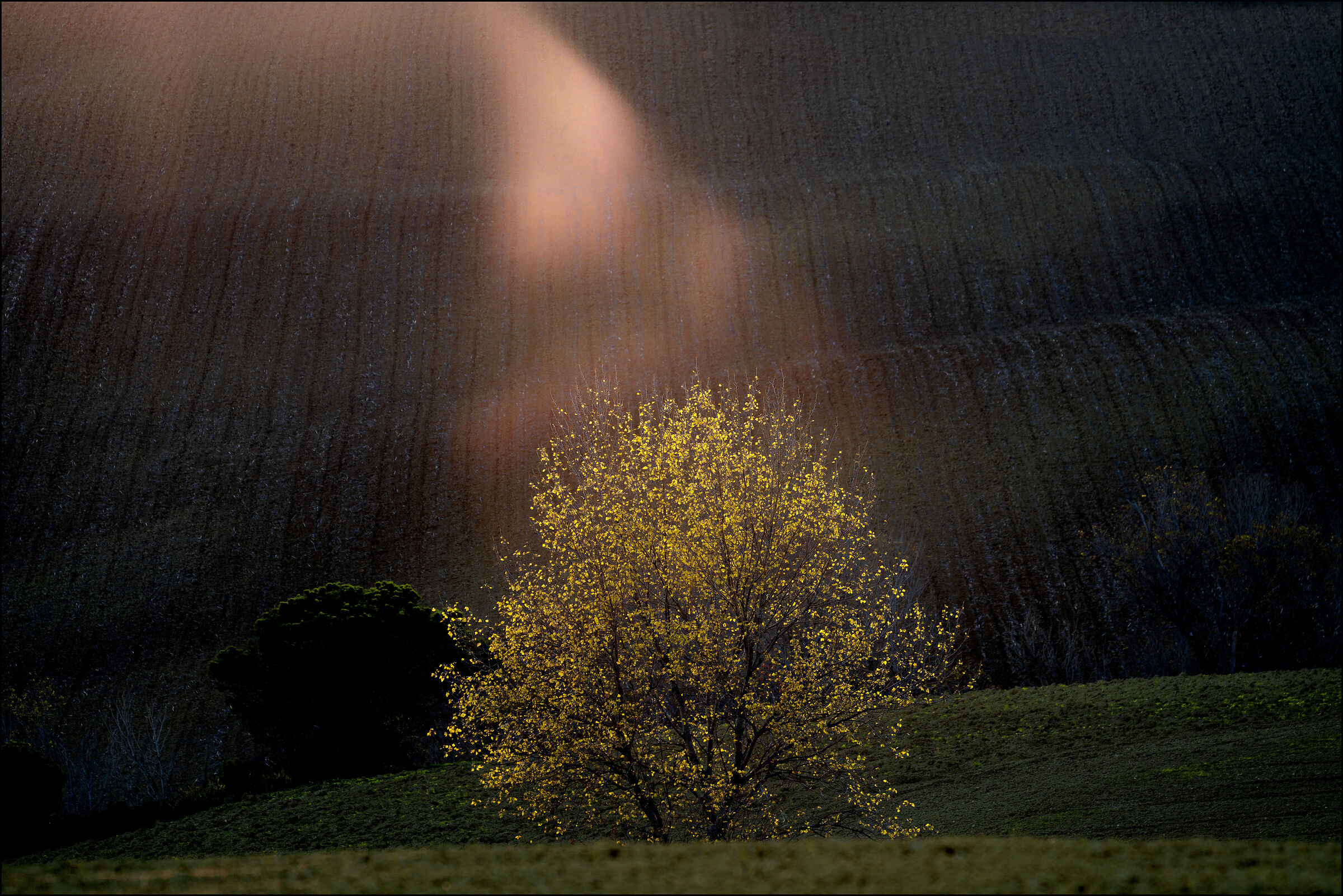 Il palcoscenico della natura