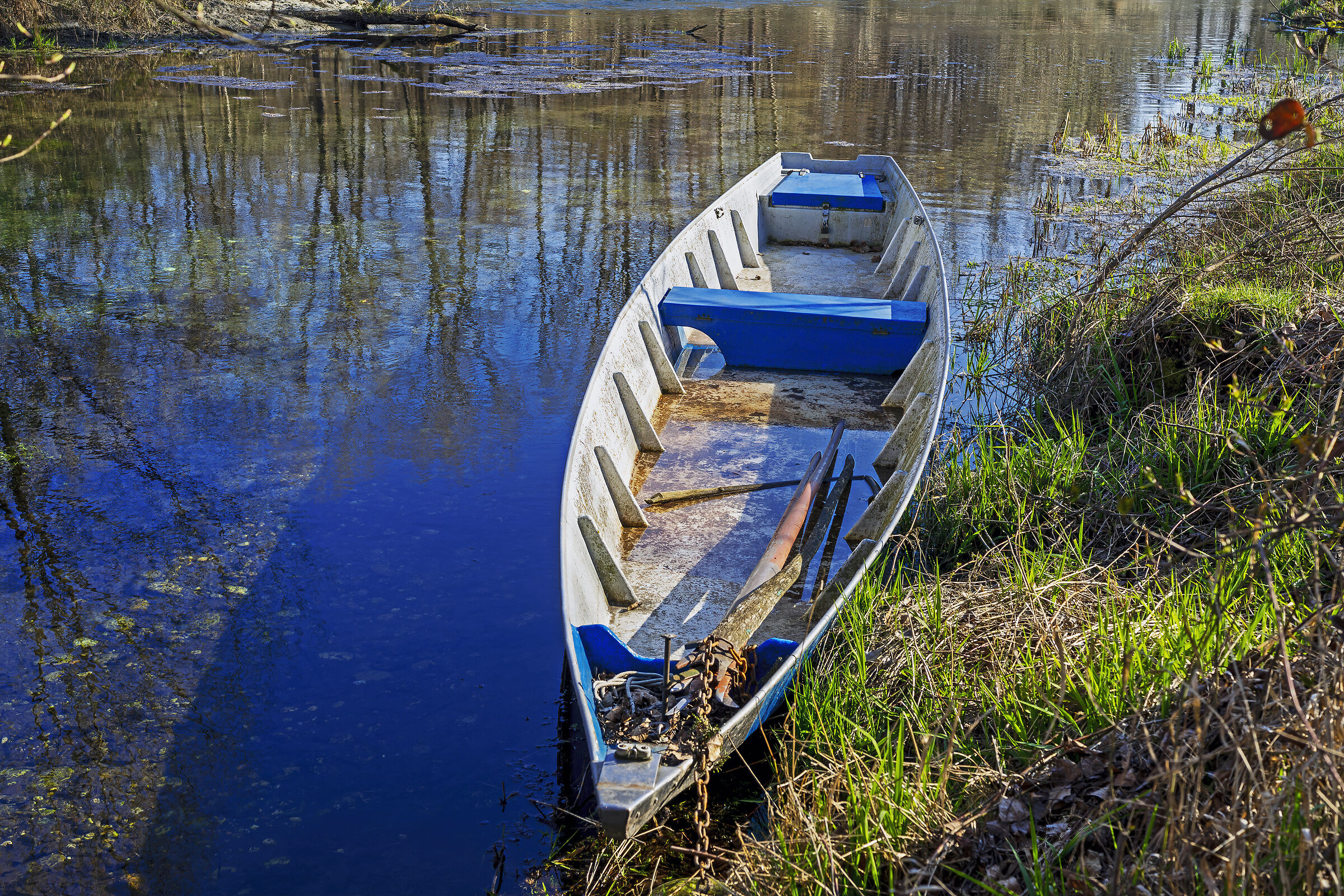 Nel blu dipinto di blu