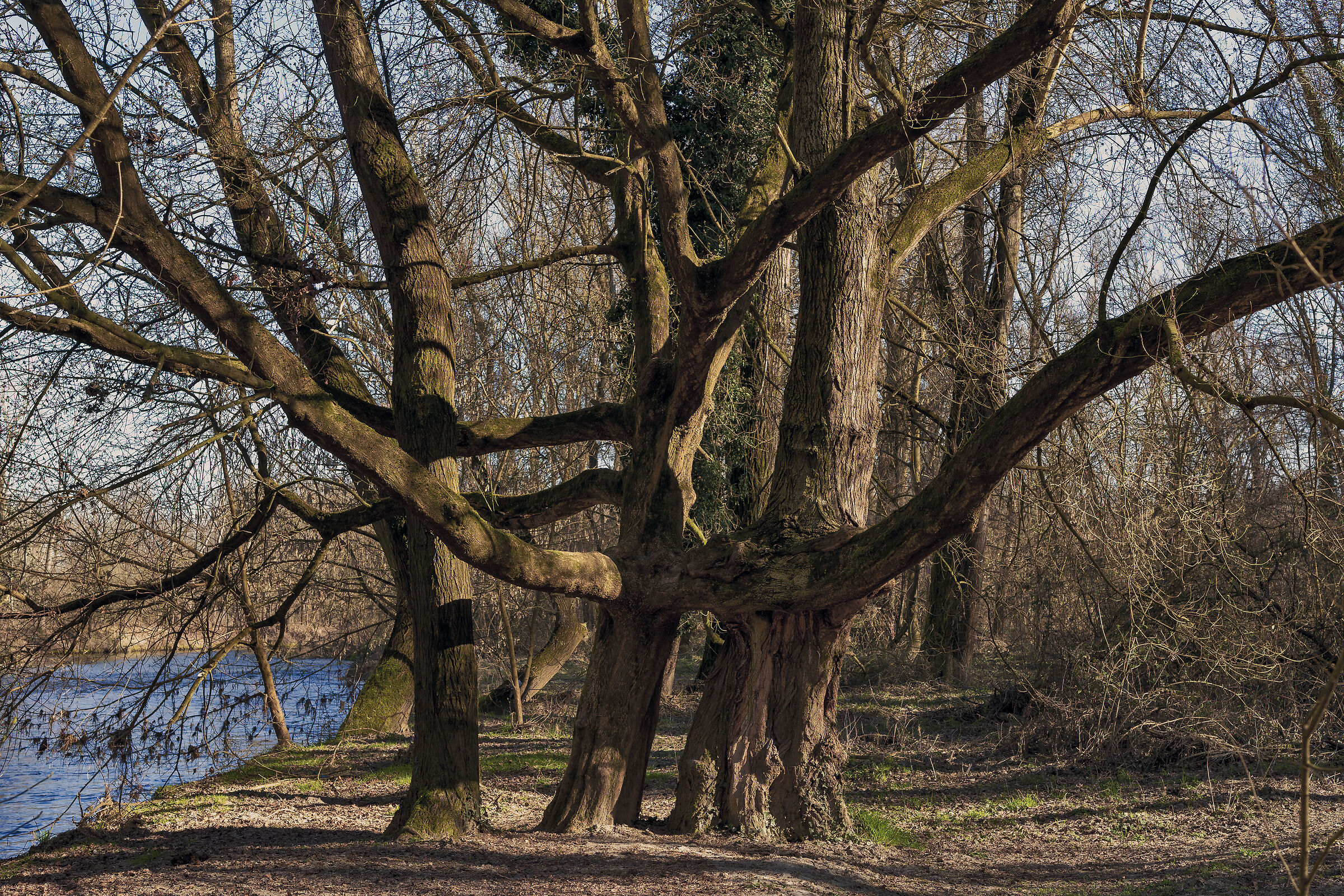 Abbracci al tramonto